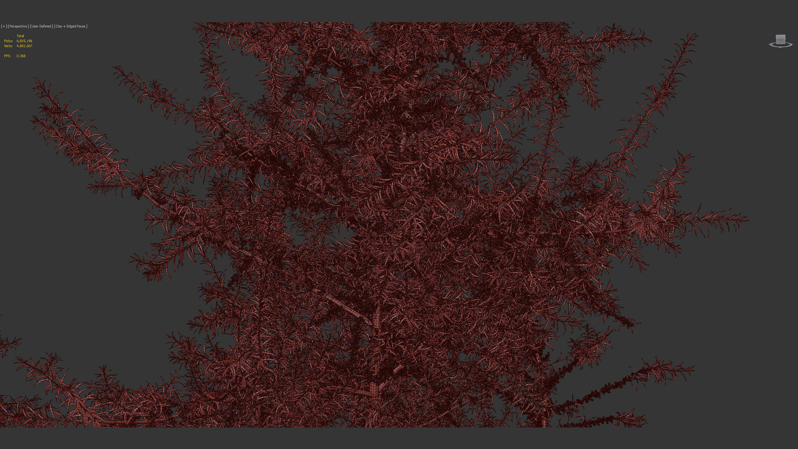 Hippophae rhamnoides Sea buckthorn 3D model_11