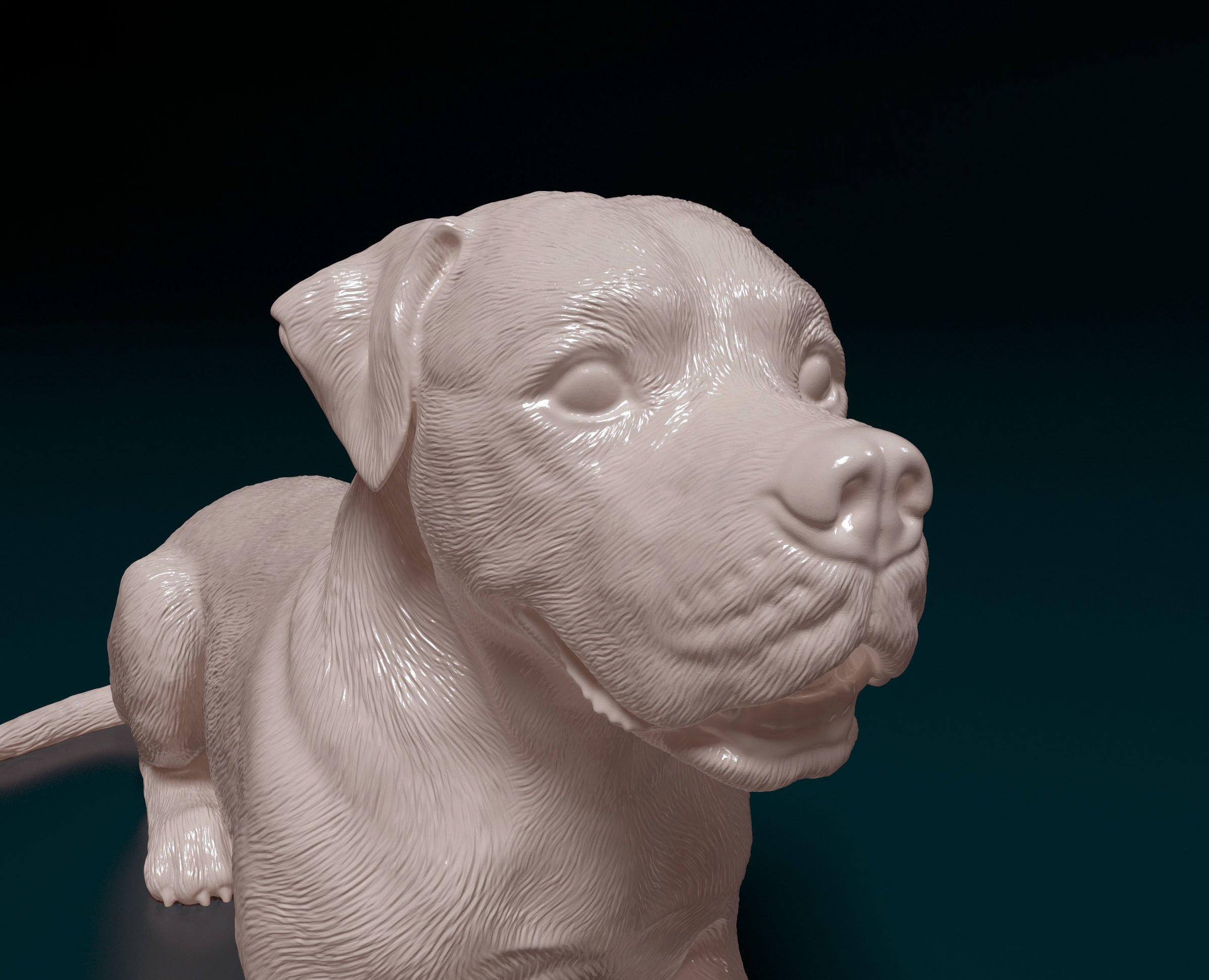 American bulldog 05 3D print model_6