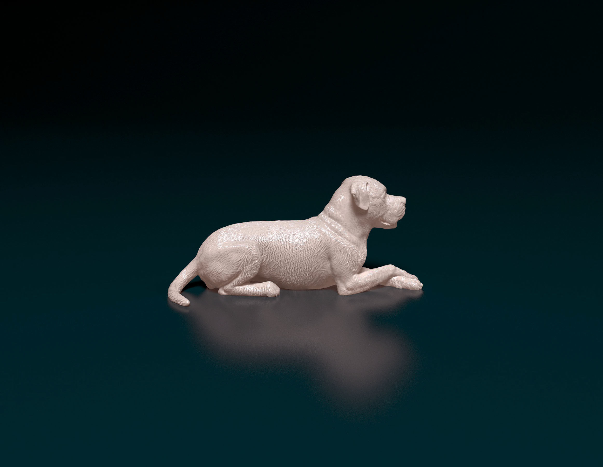 American bulldog 05 3D print model_1
