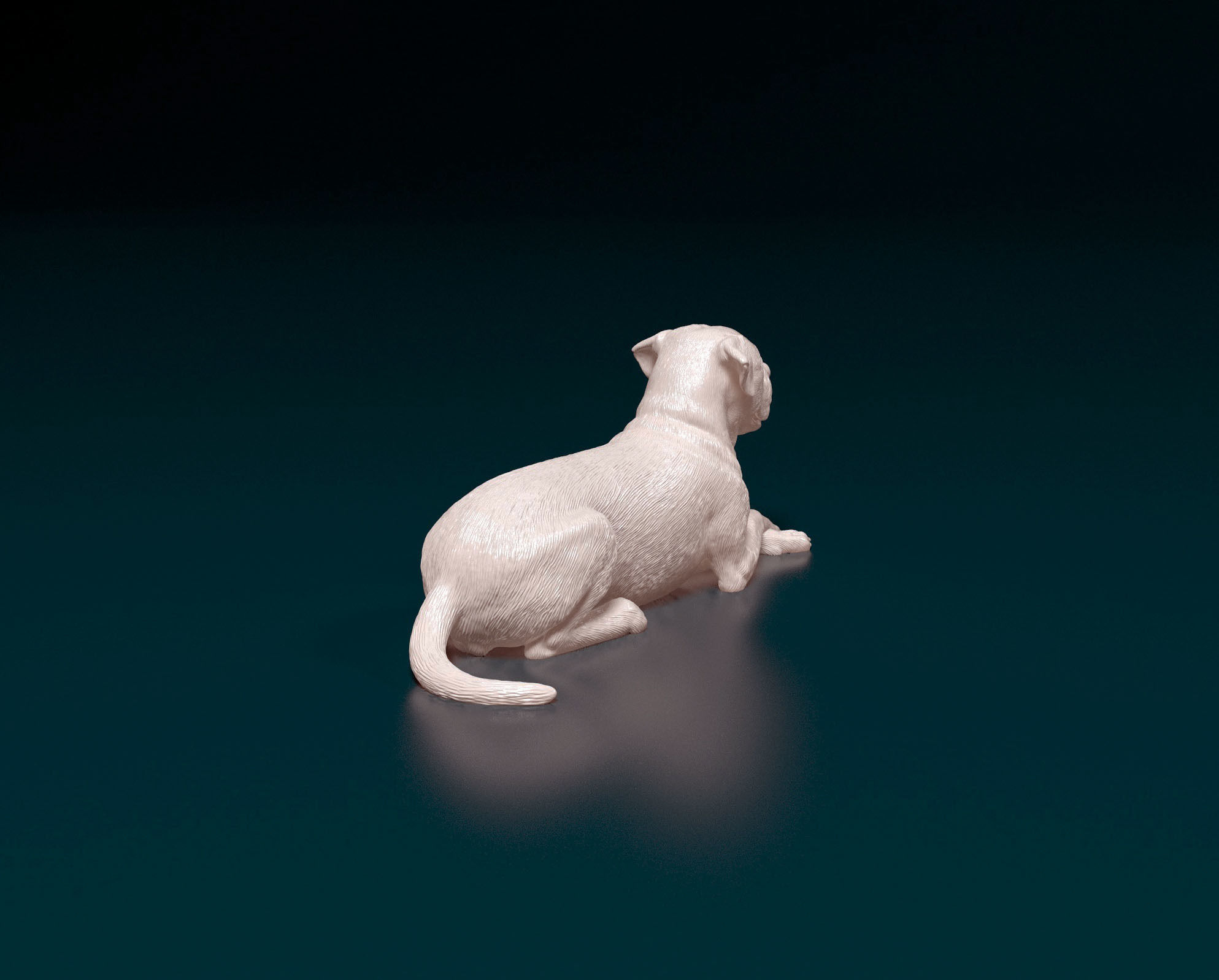 American bulldog 05 3D print model_2