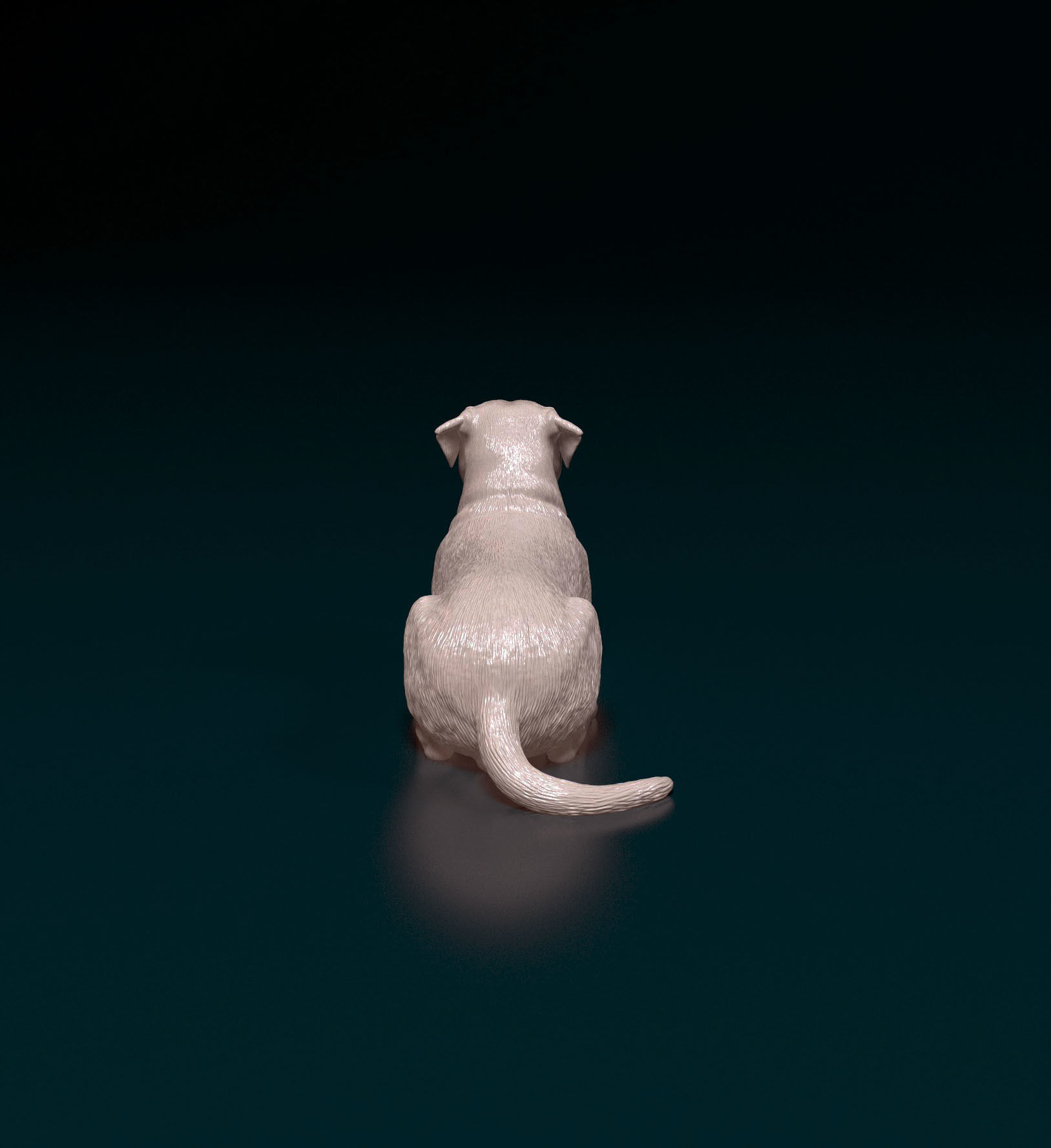 American bulldog 05 3D print model_3