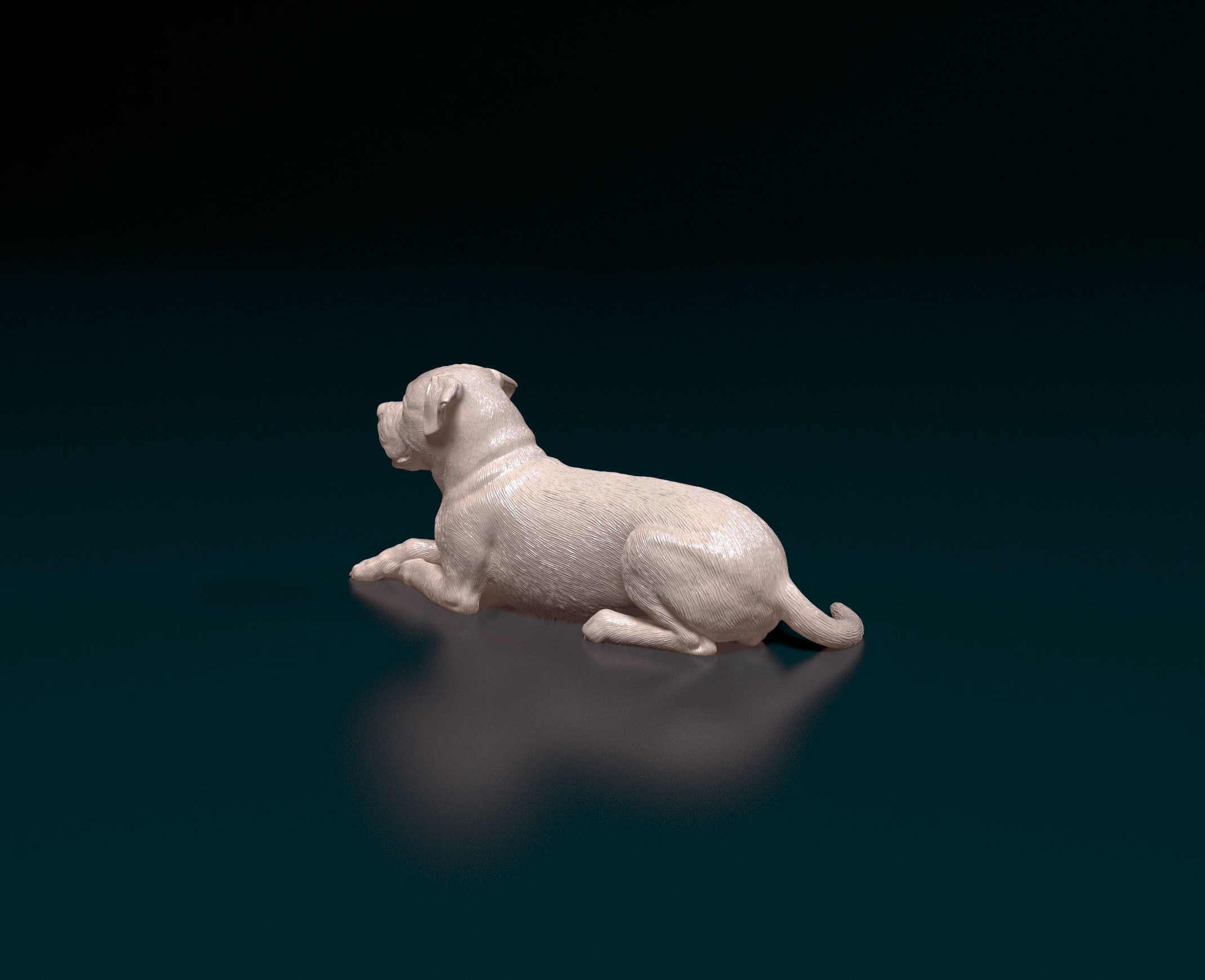 American bulldog 05 3D print model_4