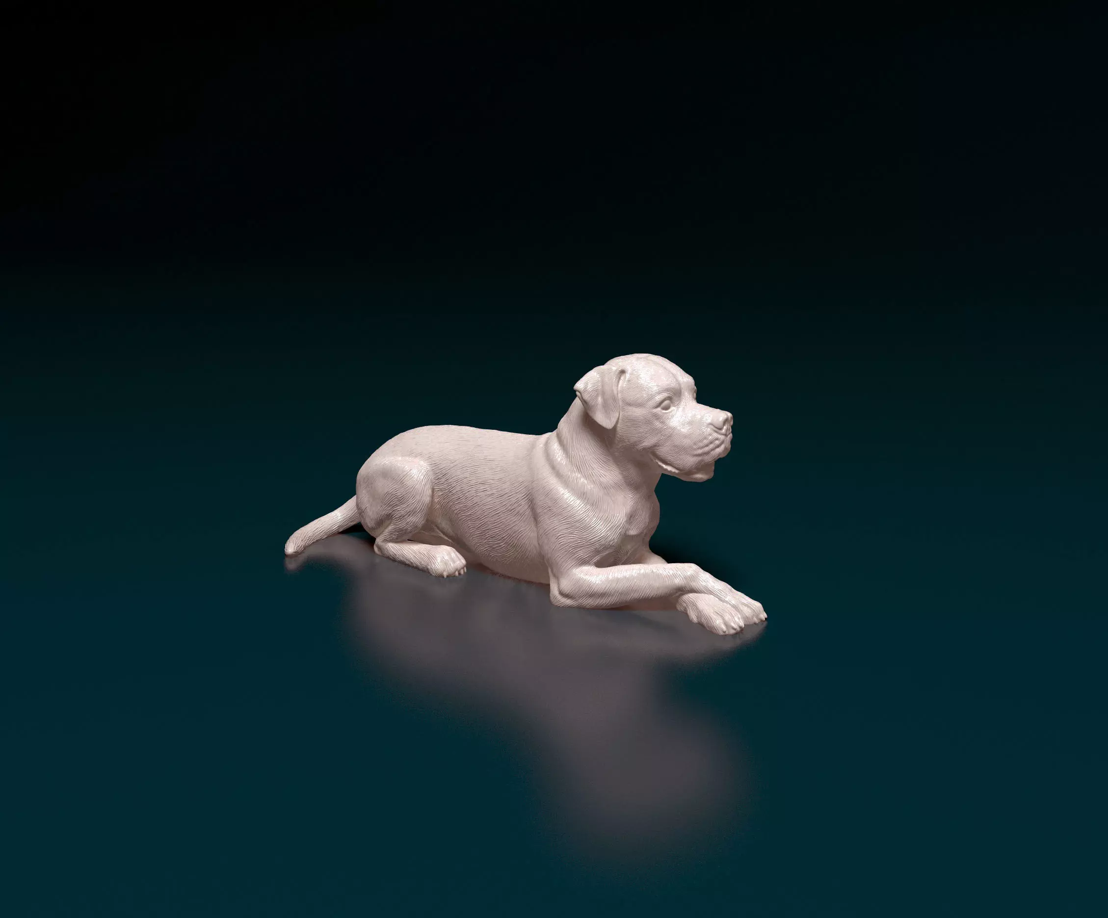 American bulldog 05 3D print model_0