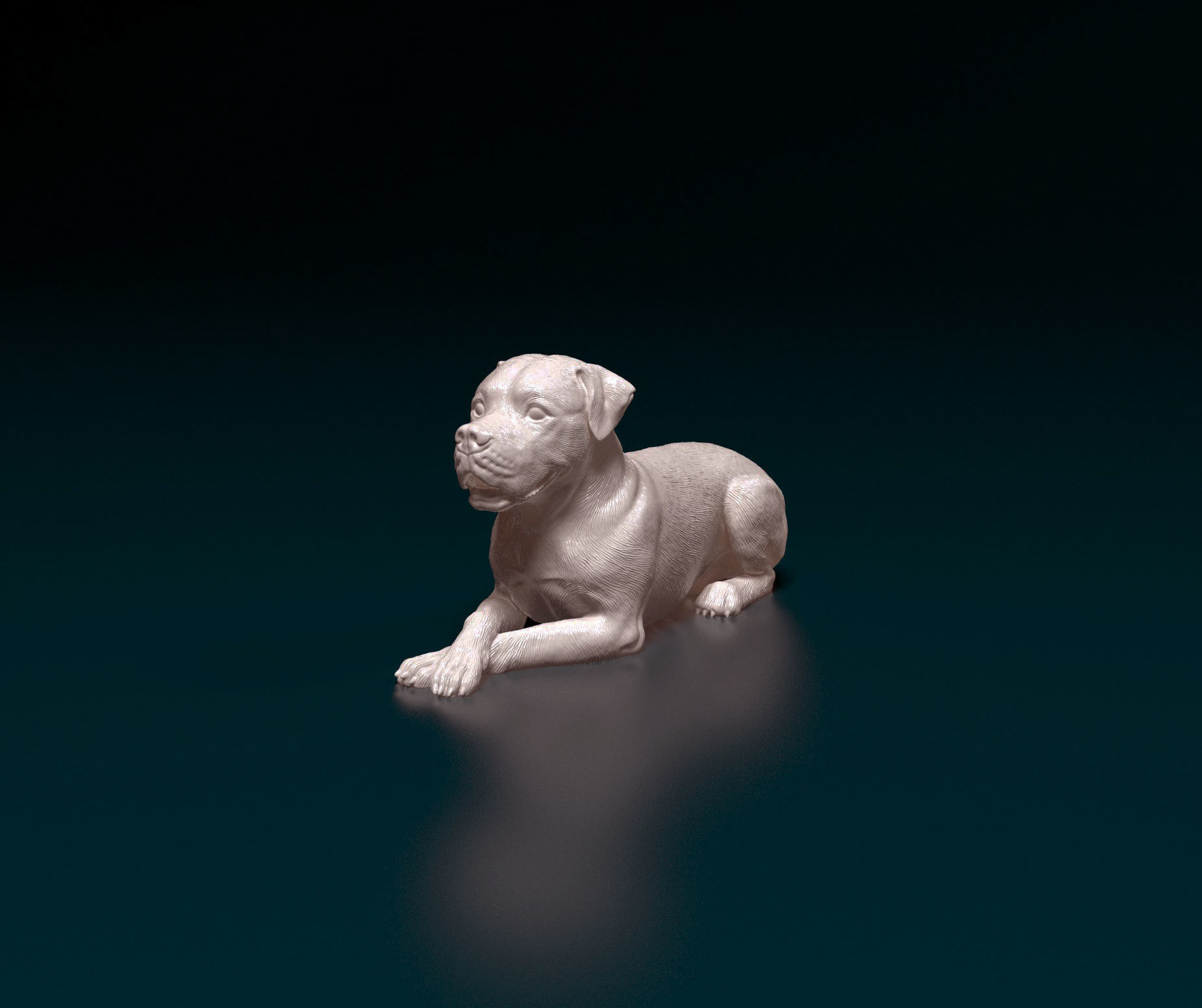 American bulldog 05 3D print model_5