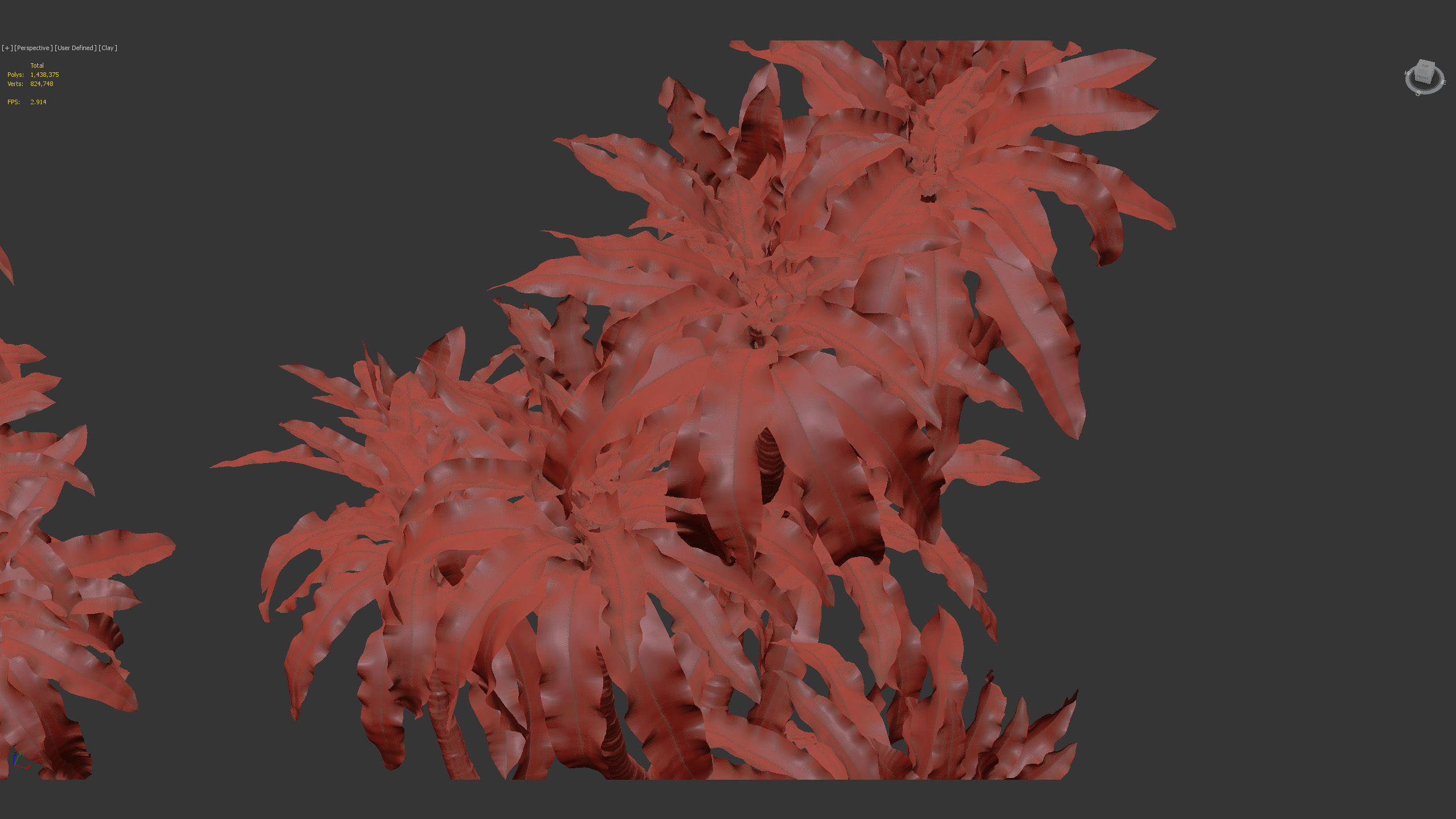 Dracaena aletriformis Dragon tree 3D model_13