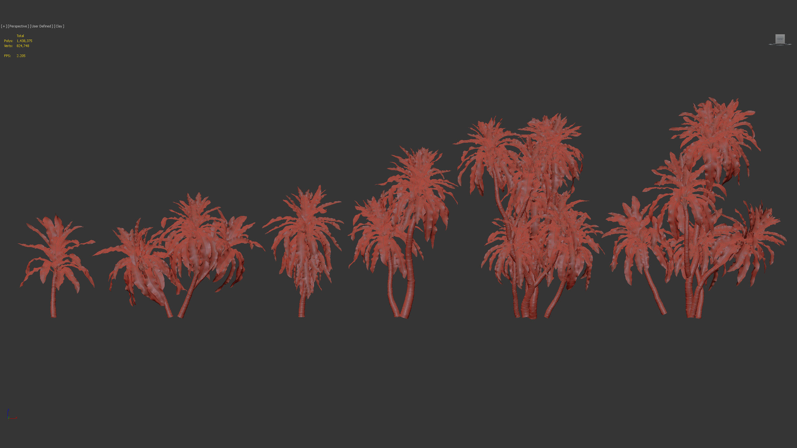 Dracaena aletriformis Dragon tree 3D model_9