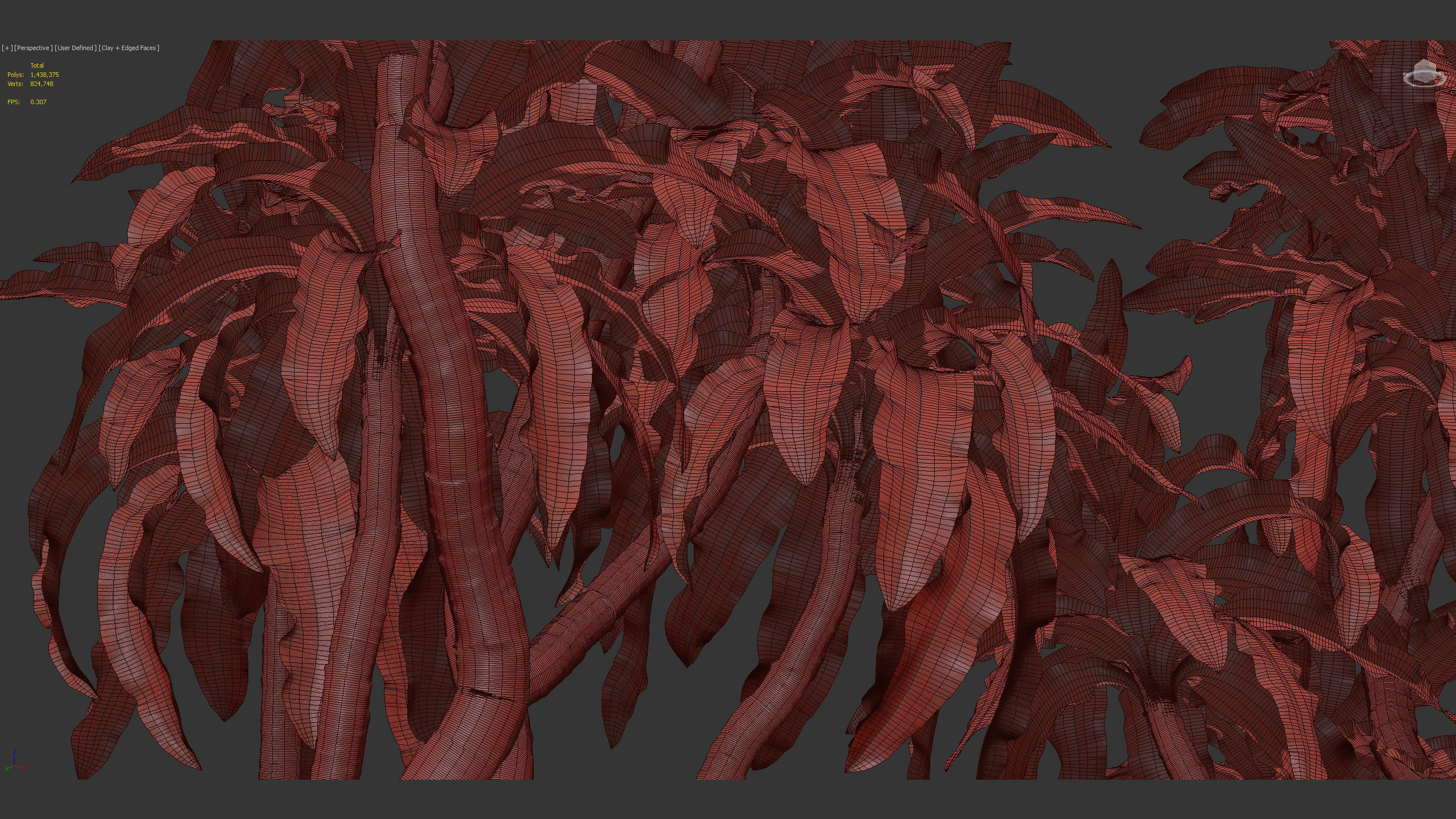 Dracaena aletriformis Dragon tree 3D model_12