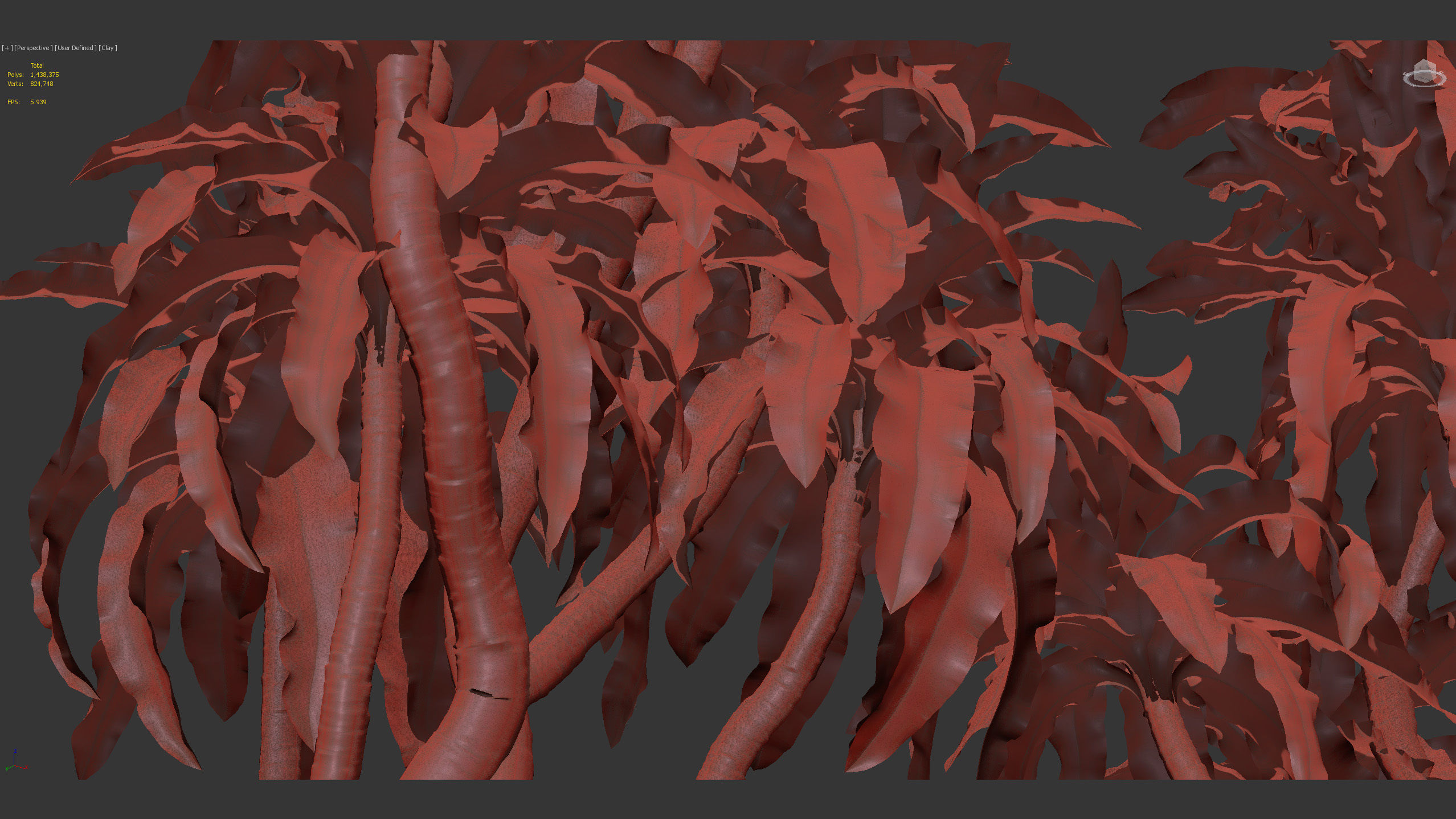 Dracaena aletriformis Dragon tree 3D model_11