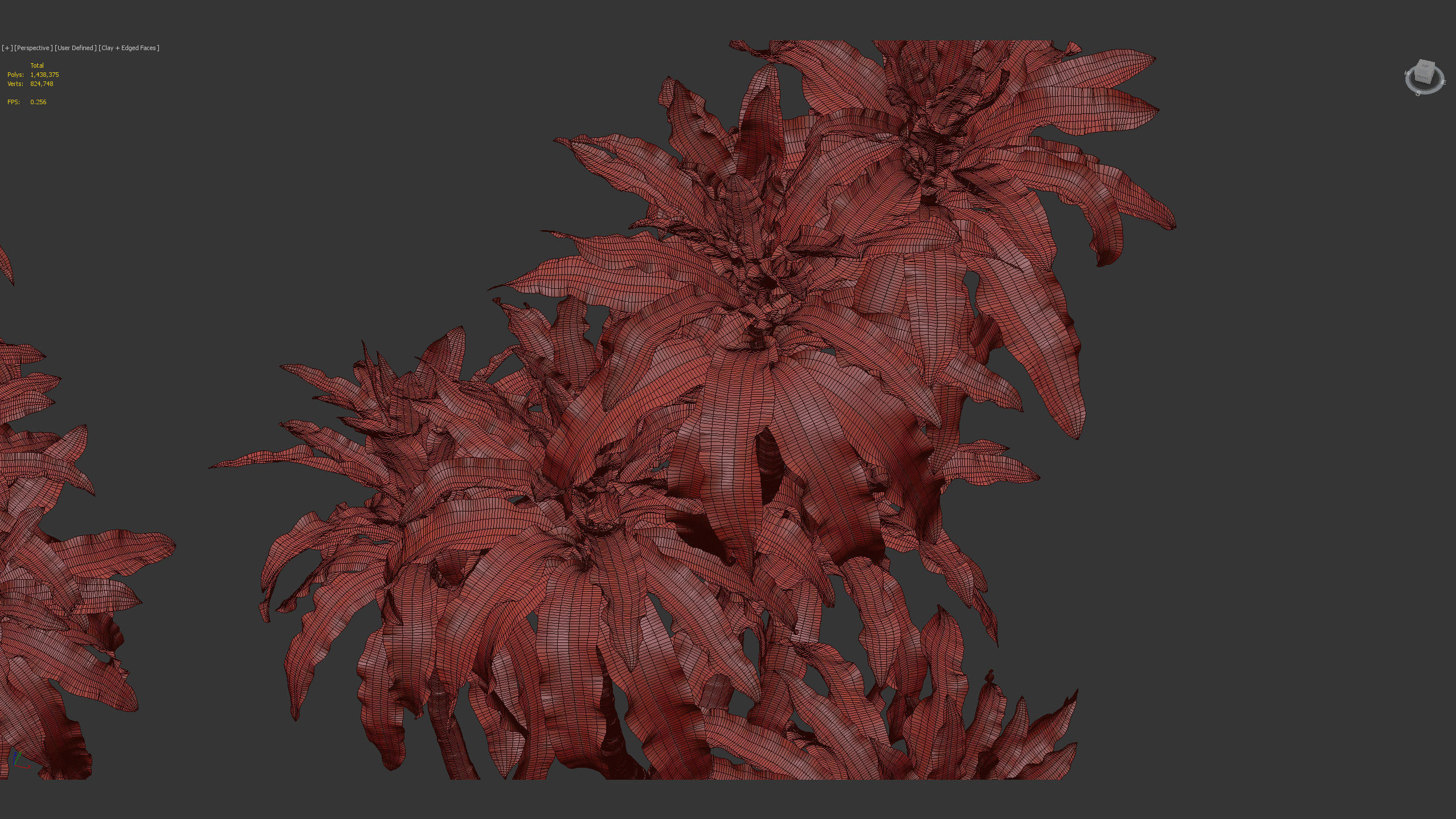 Dracaena aletriformis Dragon tree 3D model_14