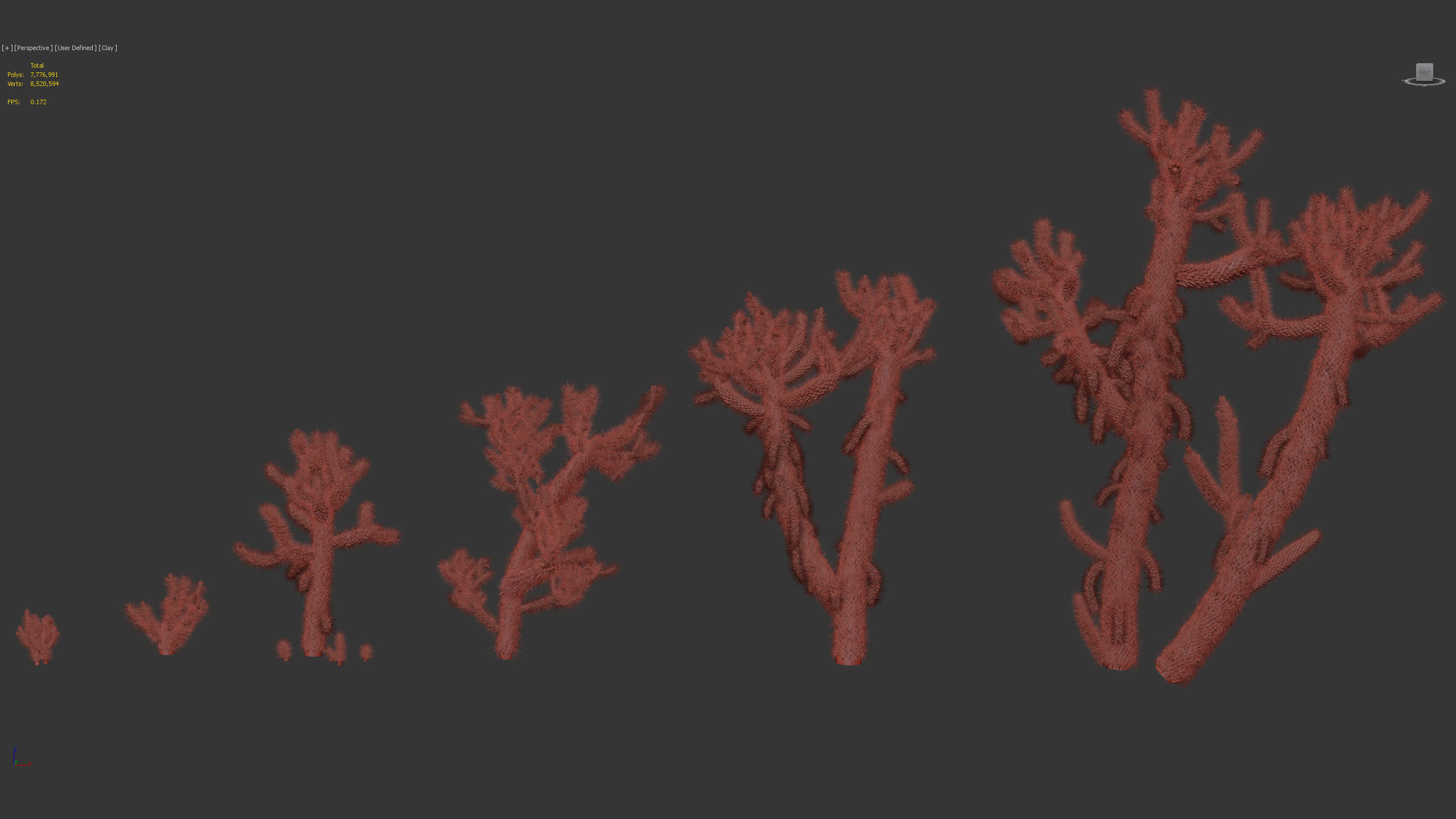 Cholla luminance Cylindropuntia imbricata 3D model_9