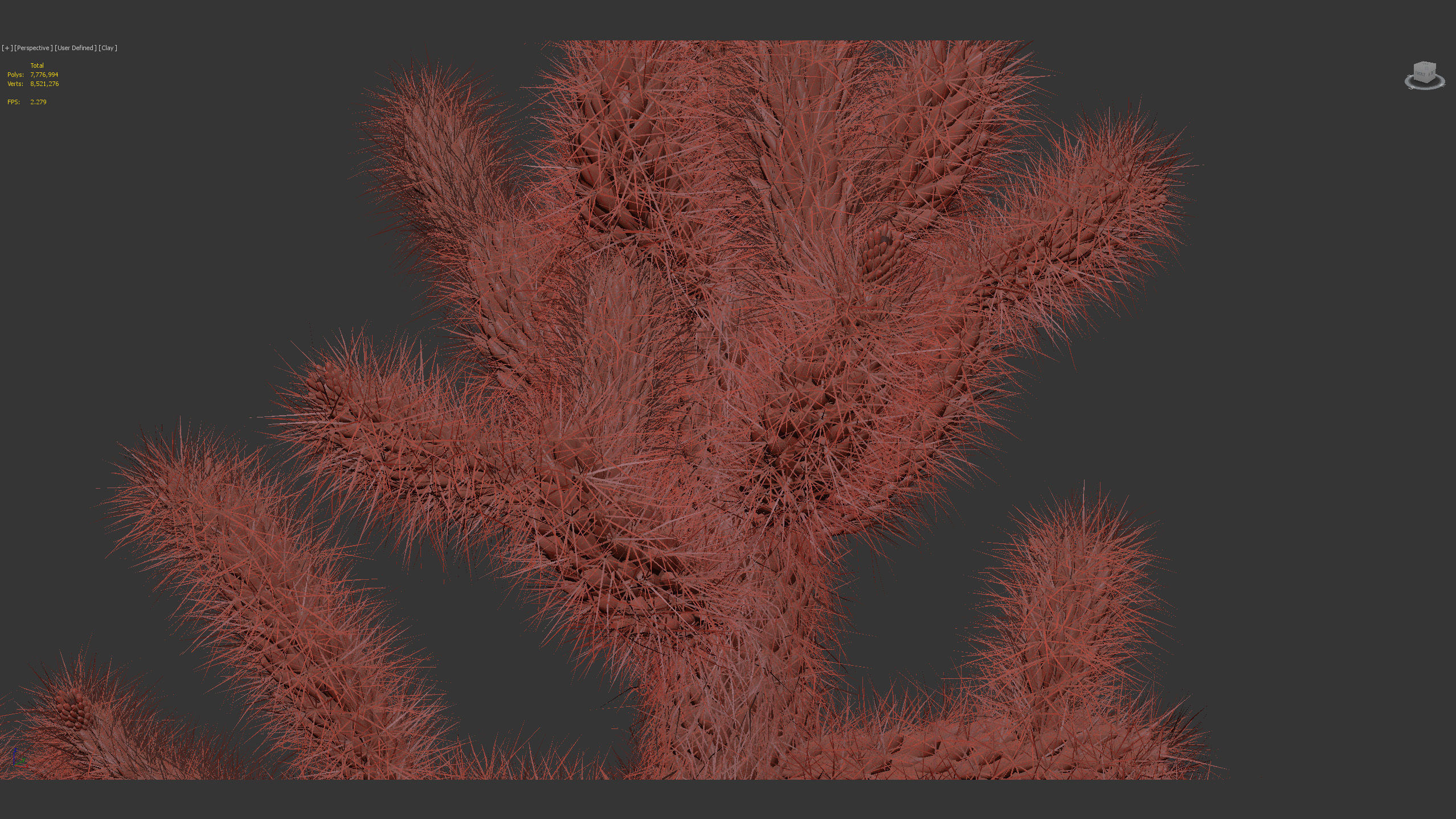 Cholla luminance Cylindropuntia imbricata 3D model_12