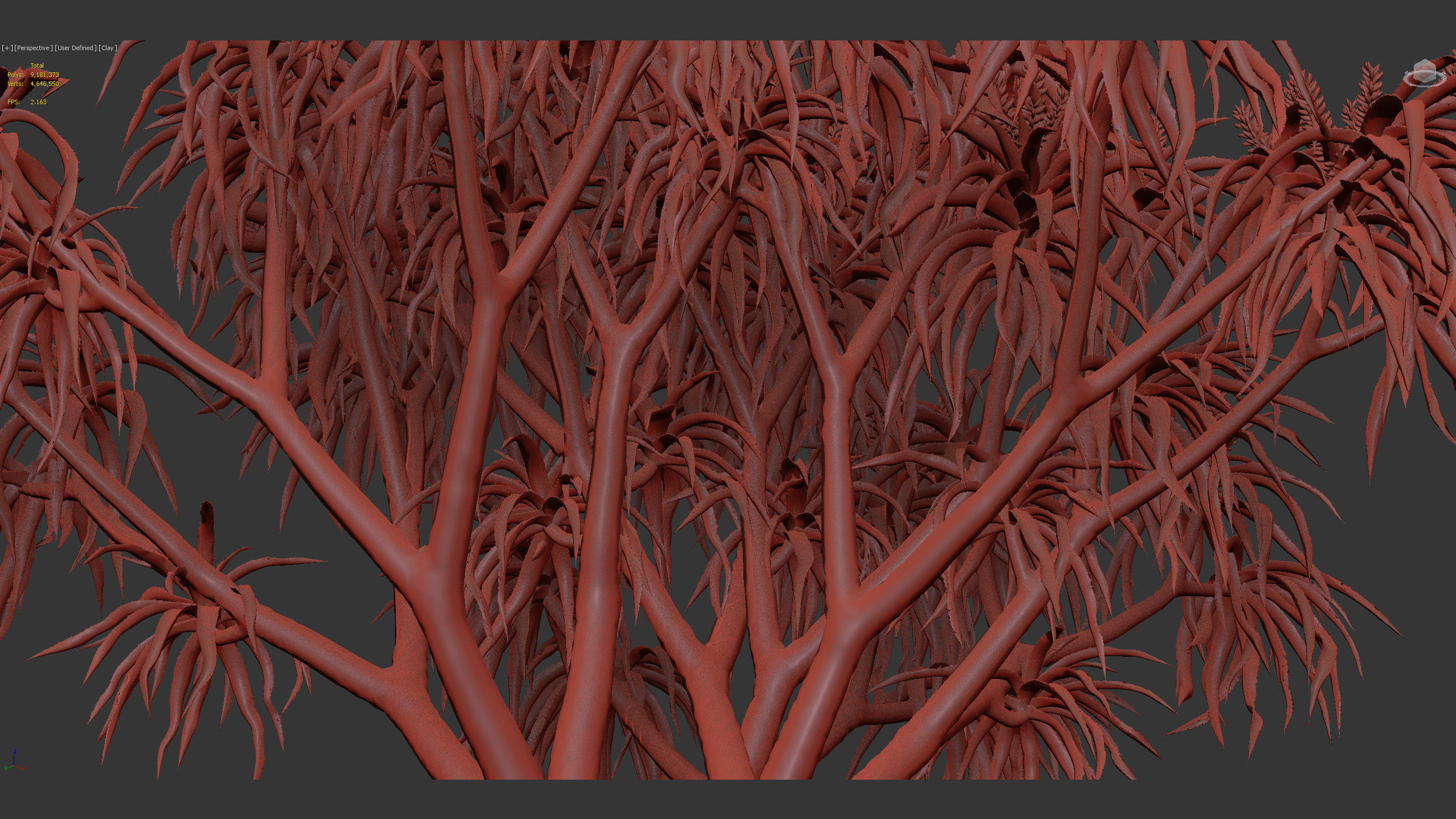 Aloidendron barbera Tree Aloe 3D model_11