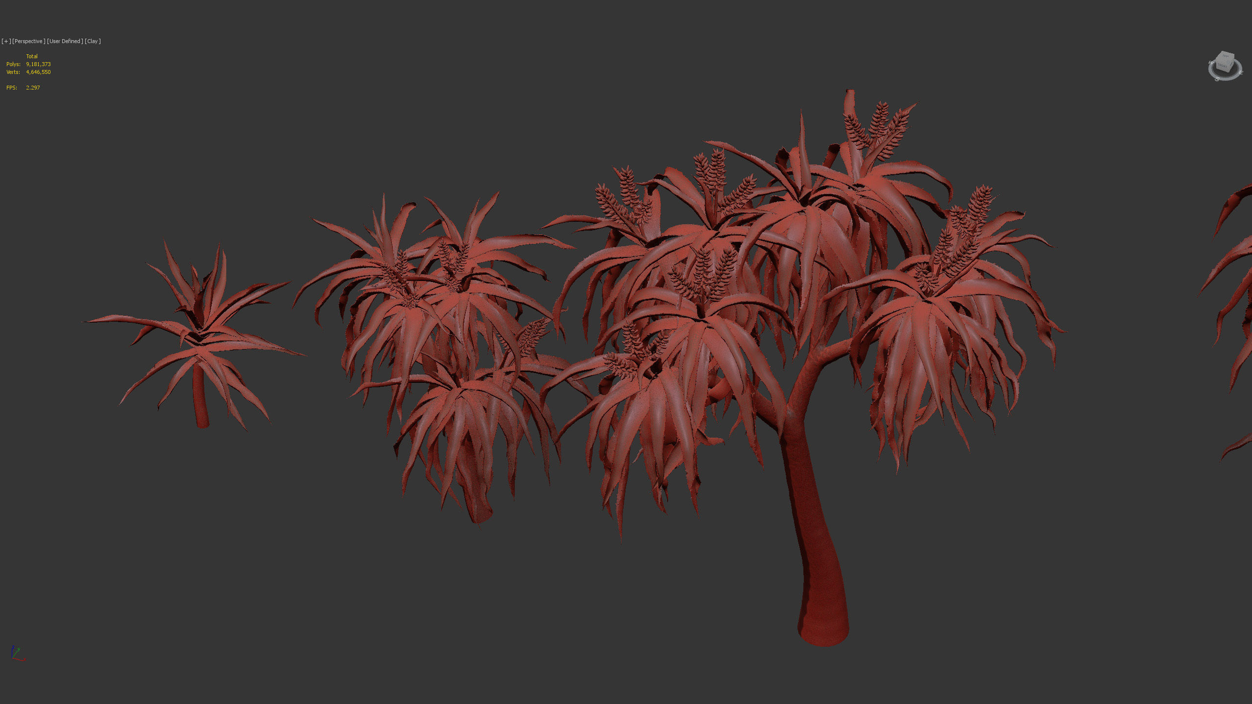 Aloidendron barbera Tree Aloe 3D model_13