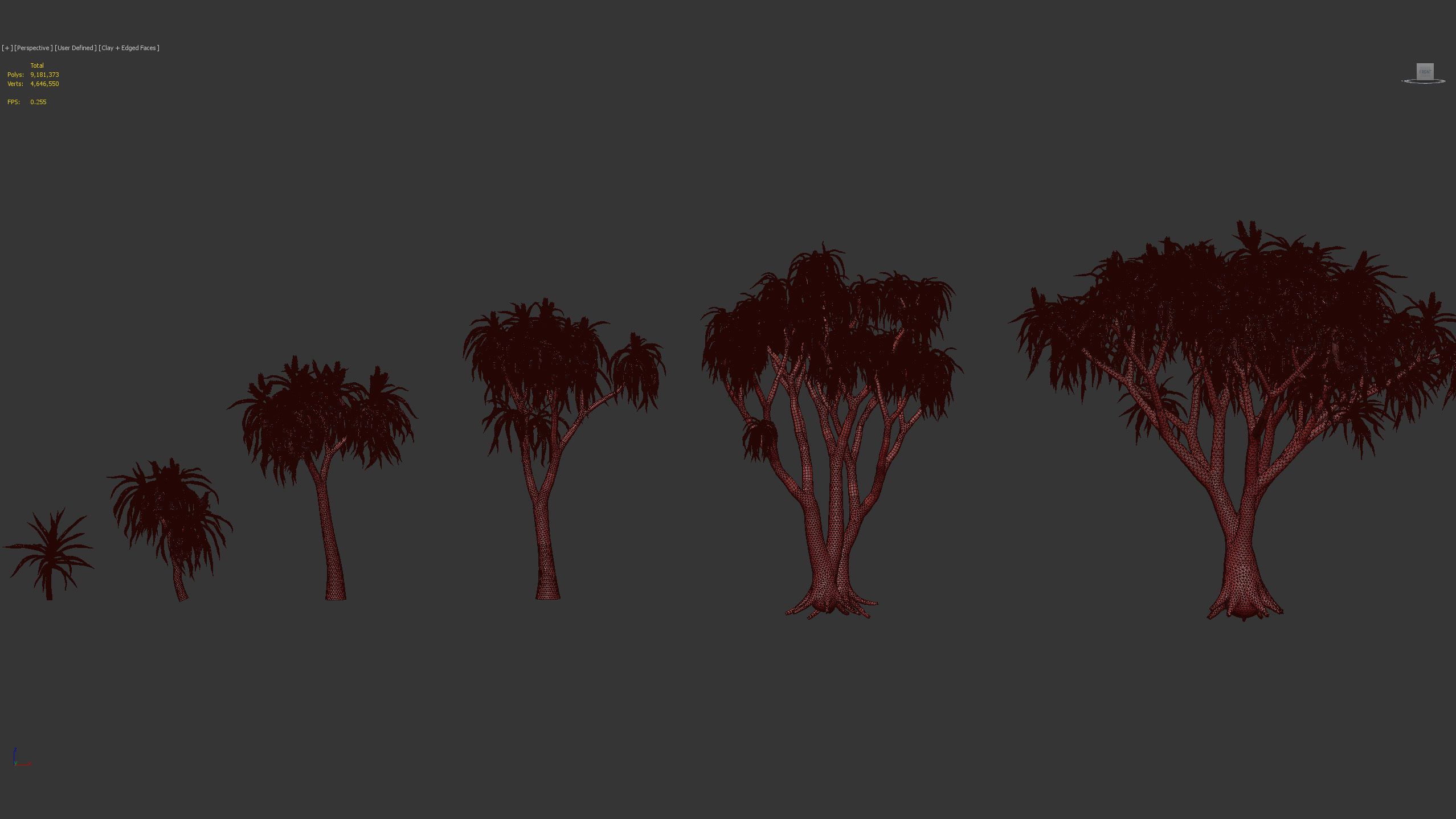 Aloidendron barbera Tree Aloe 3D model_10