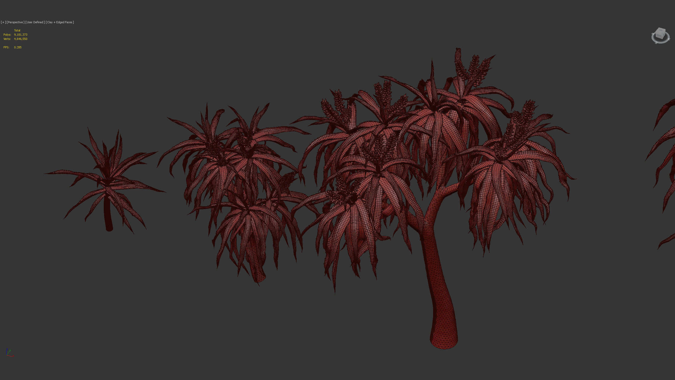 Aloidendron barbera Tree Aloe 3D model_14