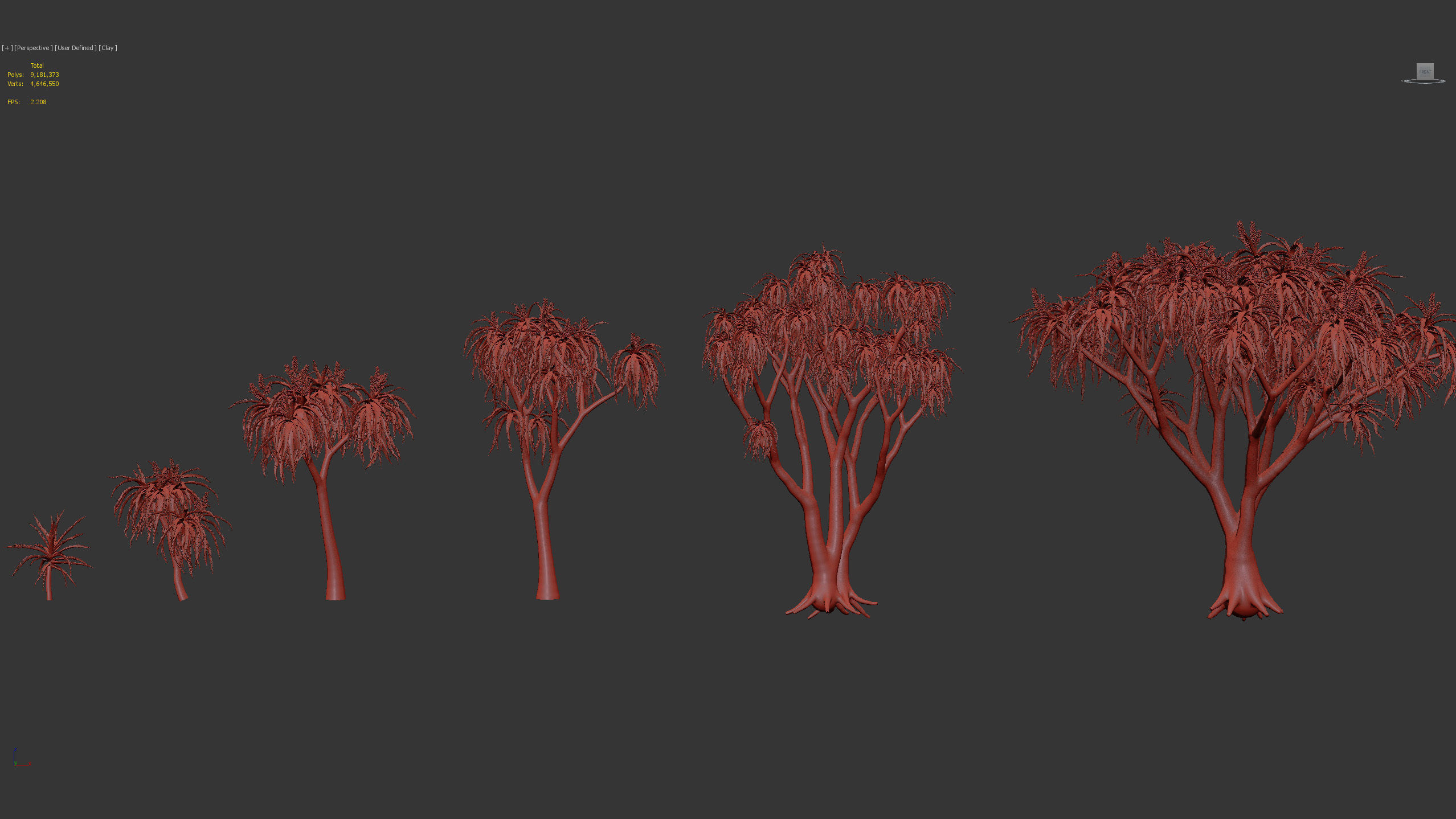 Aloidendron barbera Tree Aloe 3D model_9