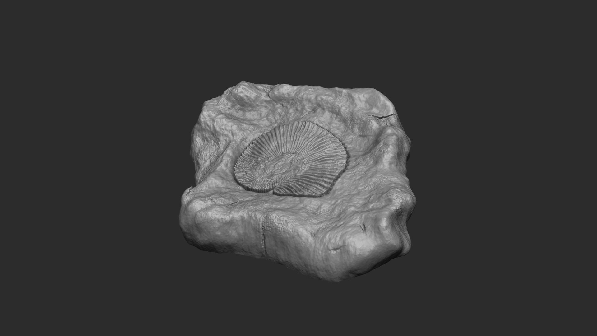 Ammonite Mineral Fossile - Realistic Printable and Keychain 3D print model_2