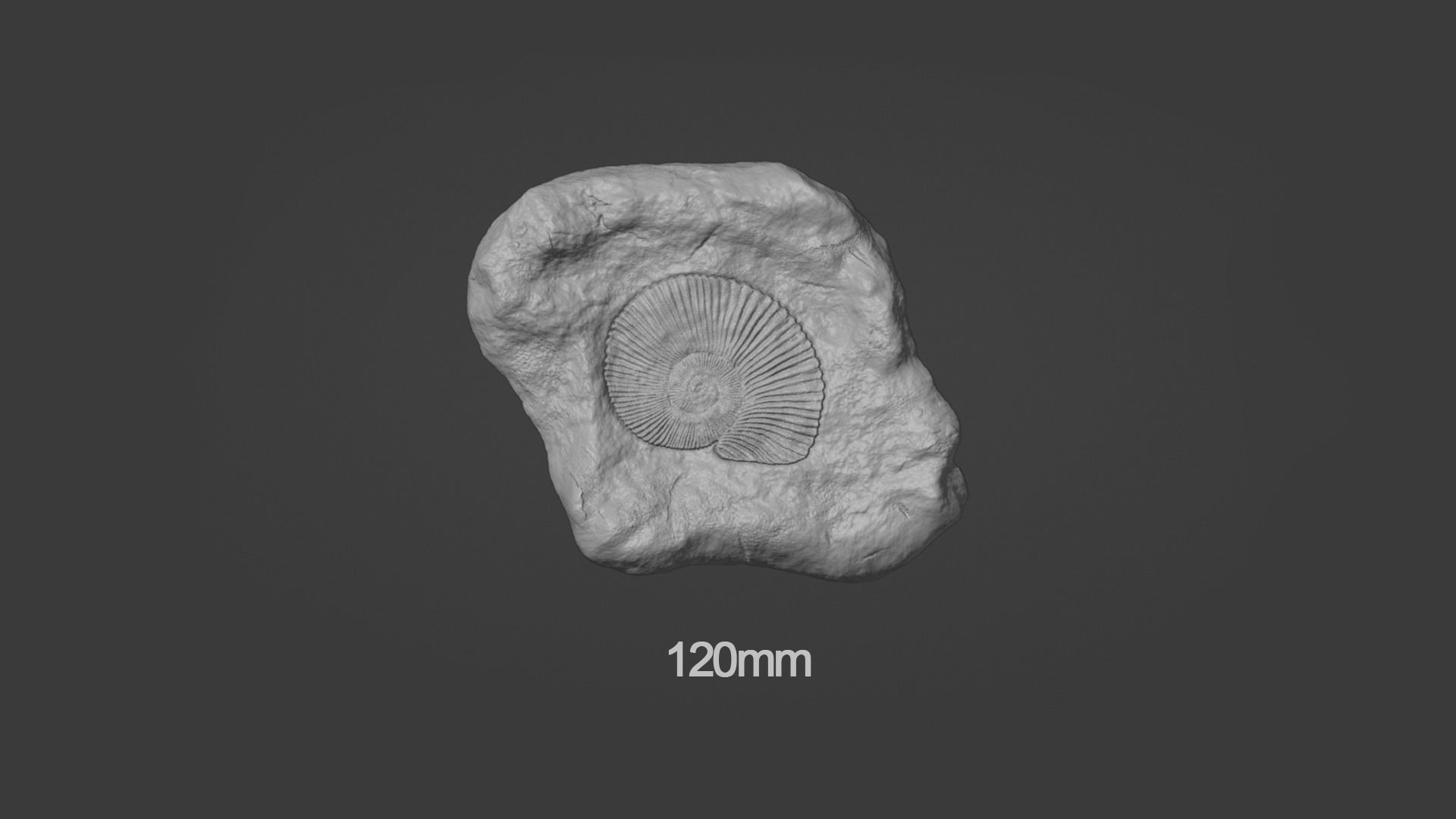 Ammonite Mineral Fossile - Realistic Printable and Keychain 3D print model_11