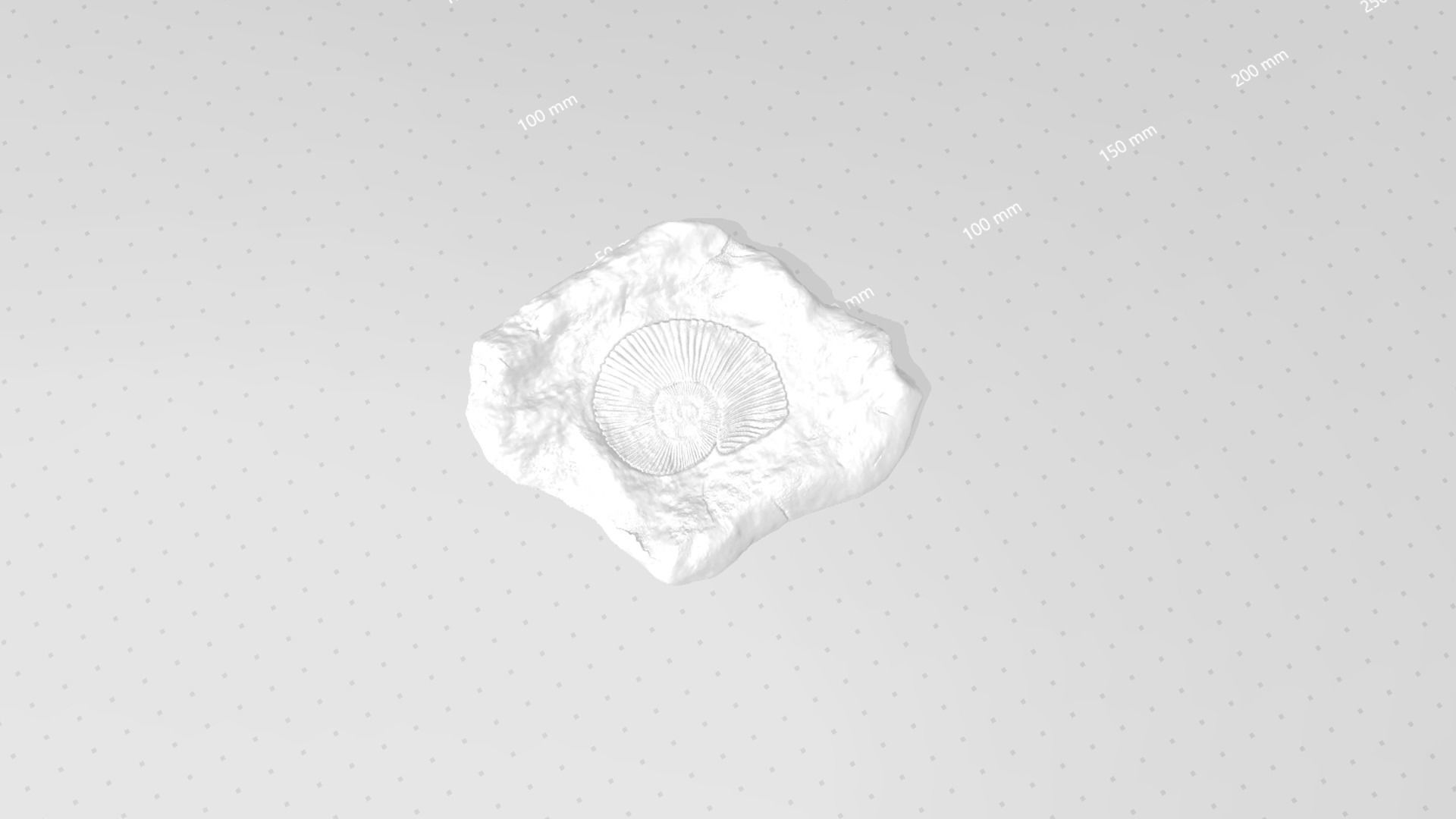 Ammonite Mineral Fossile - Realistic Printable and Keychain 3D print model_12
