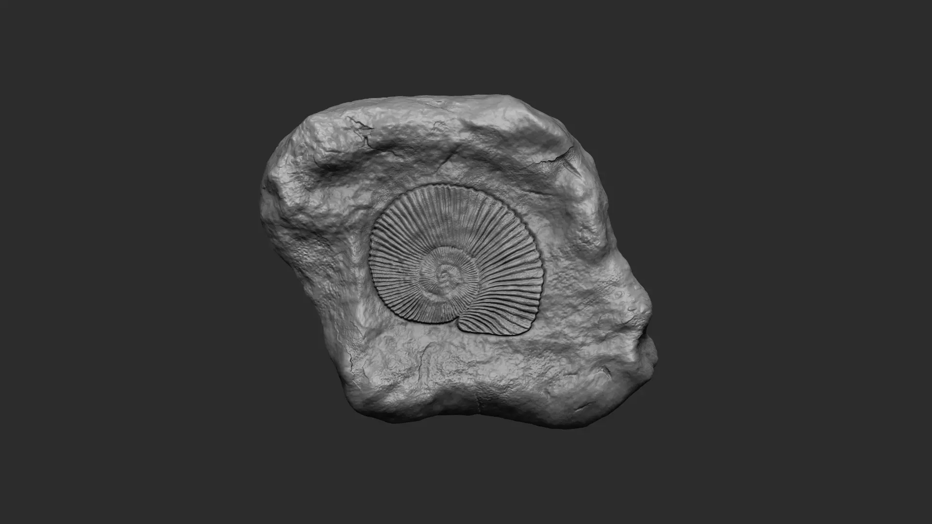 Ammonite Mineral Fossile - Realistic Printable and Keychain 3D print model_0