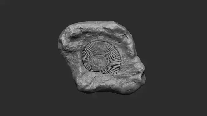 Ammonite Mineral Fossile - Realistic Printable and Keychain 3D print model