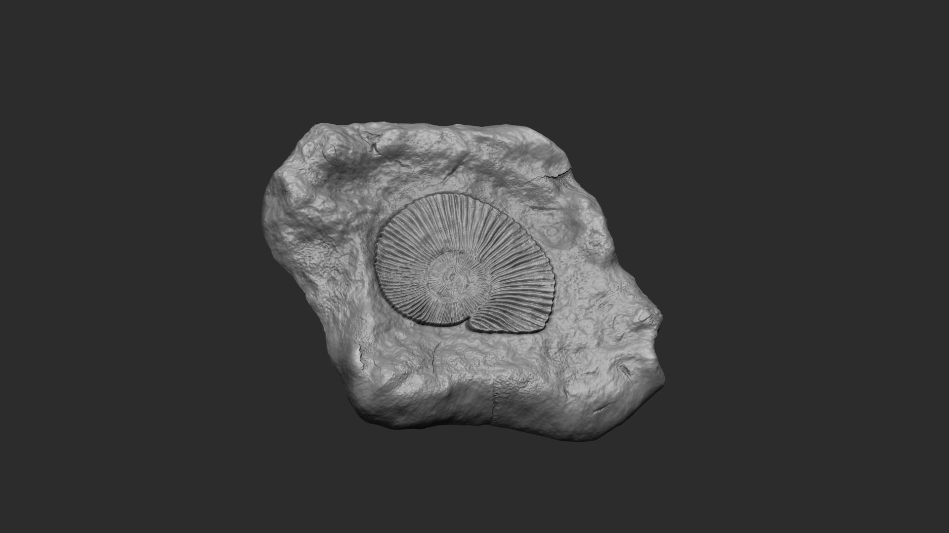 Ammonite Mineral Fossile - Realistic Printable and Keychain 3D print model_1