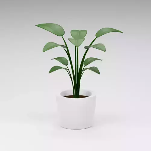 Potted Plant