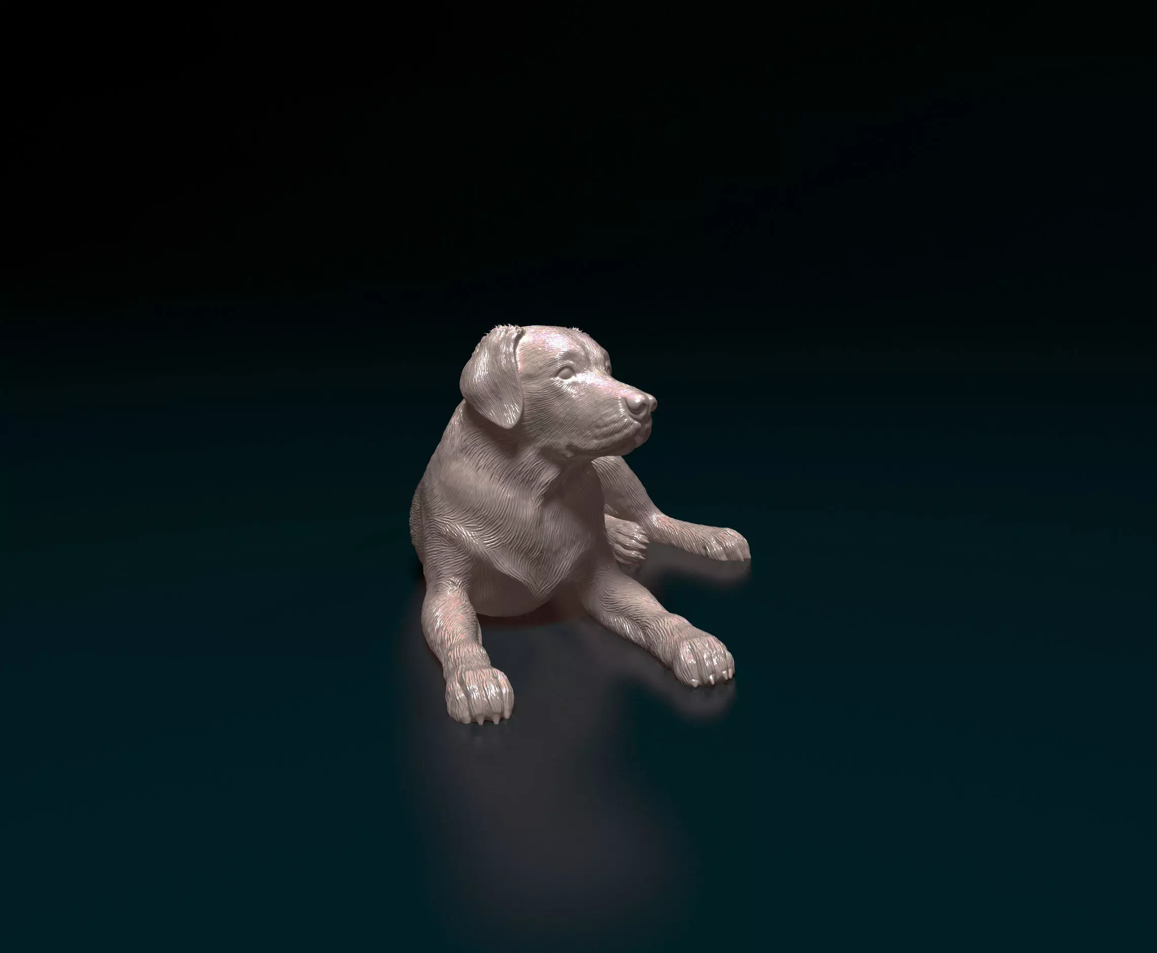 Labrador 04 3D print model
