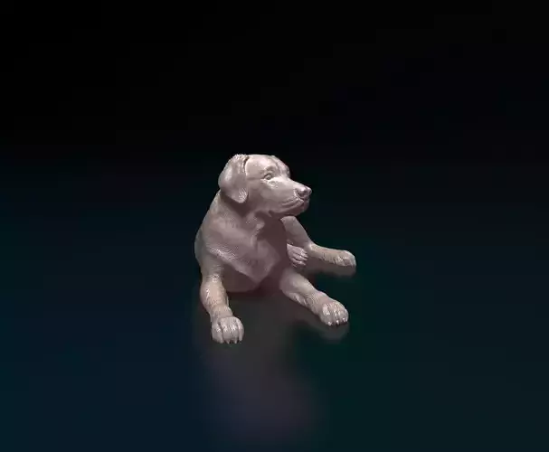 Labrador 04 3D print model