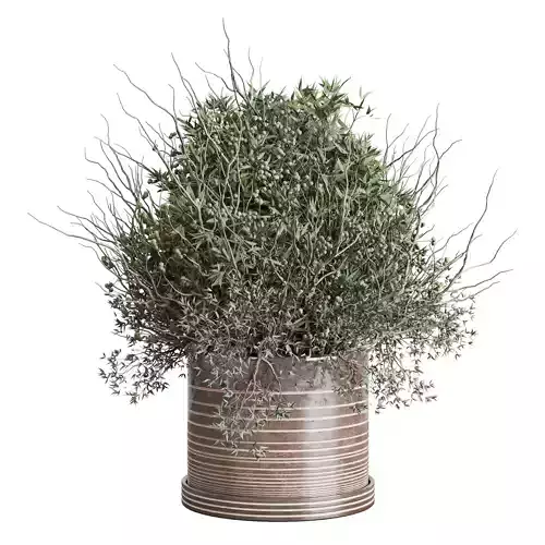 Olive branch in an old earthenware vase Buoquet 33  Low-poly 3D model