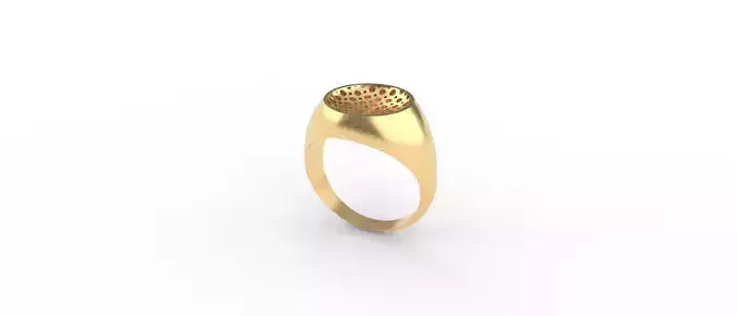 ring  model