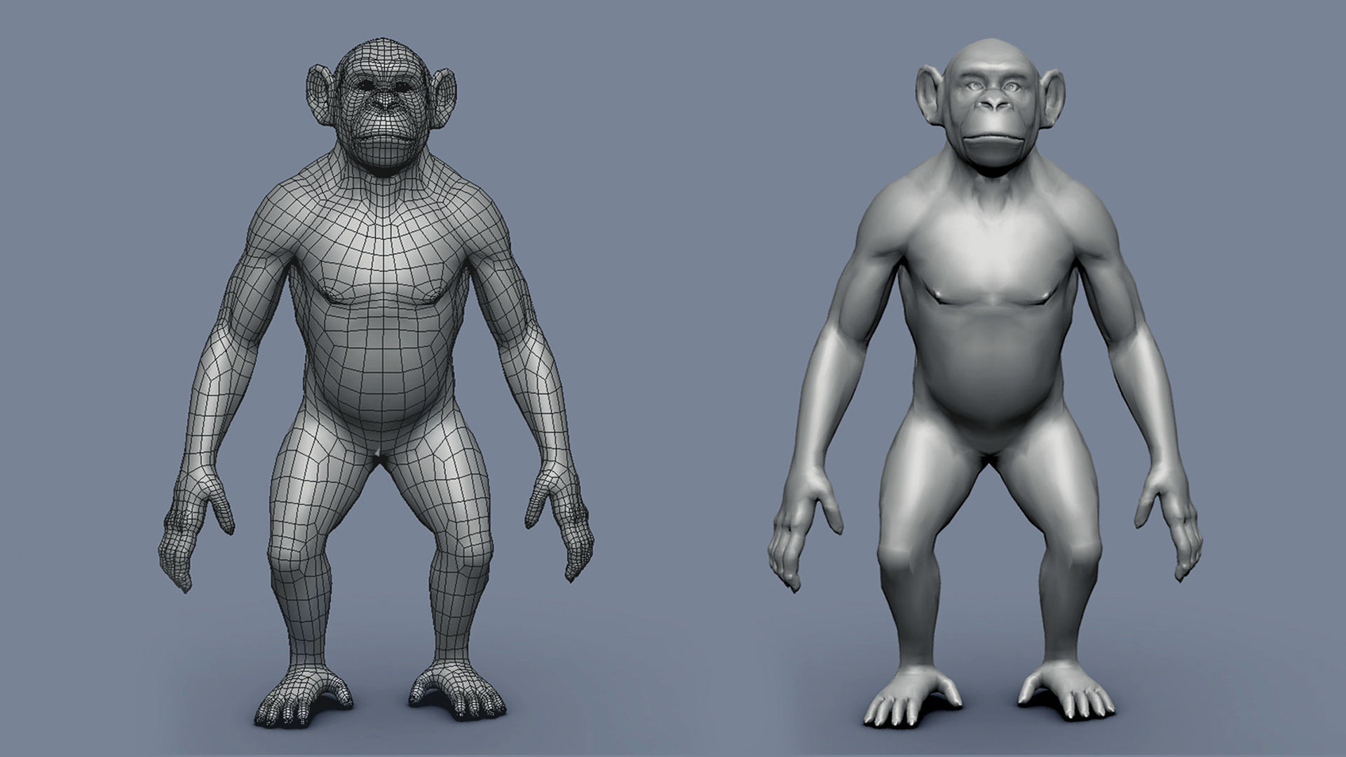 Chimp BaseMesh Low-poly 3D model_3