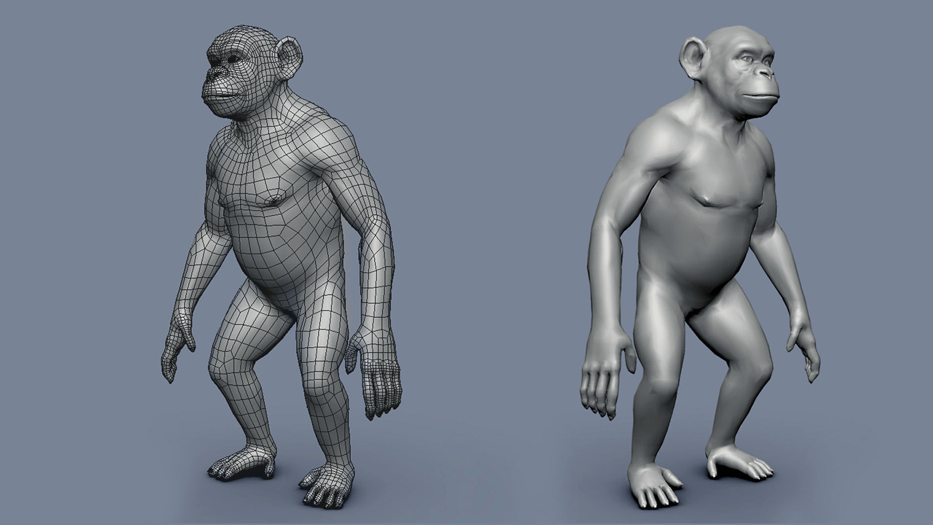 Chimp BaseMesh Low-poly 3D model_2