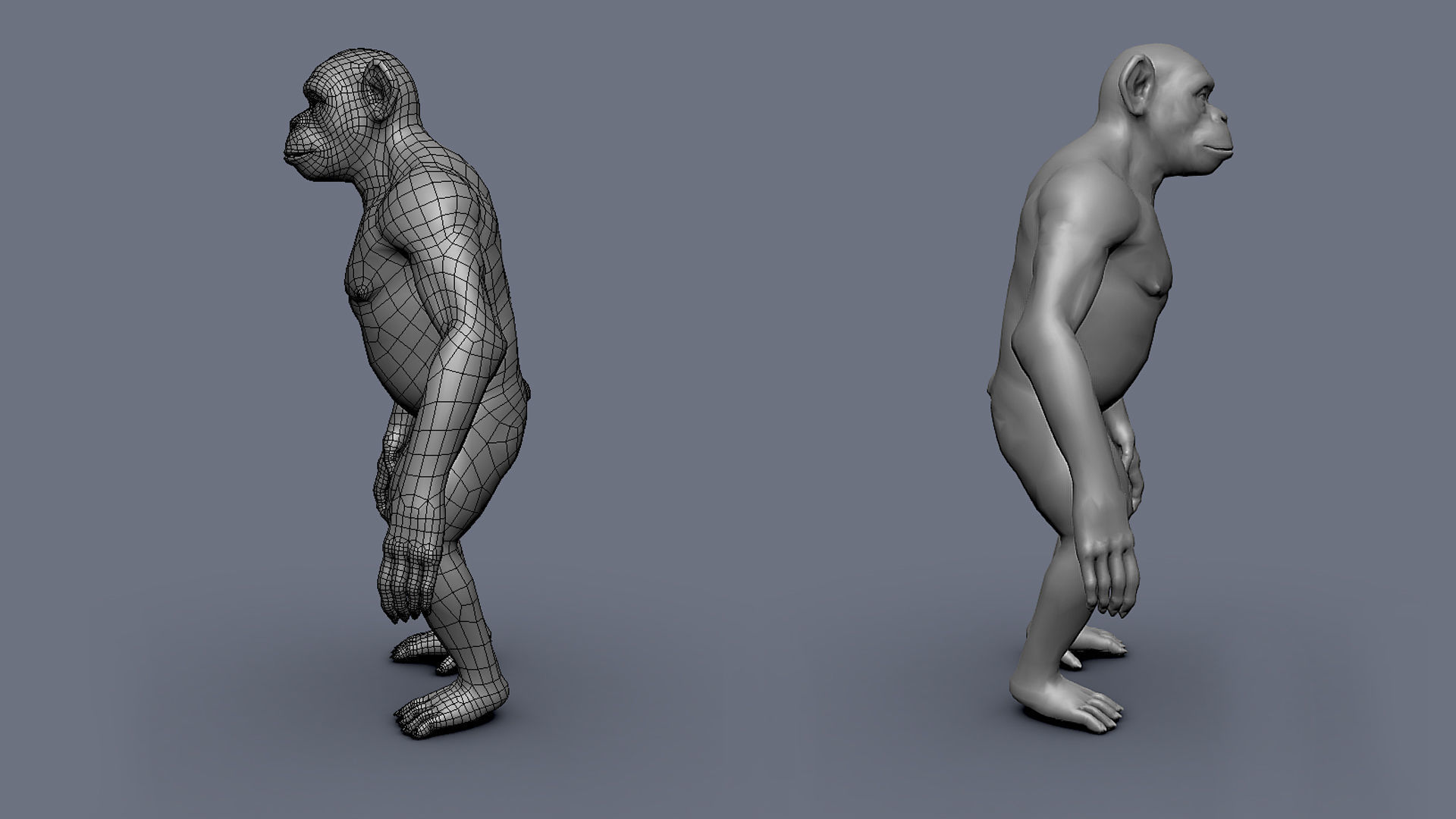 Chimp BaseMesh Low-poly 3D model_4