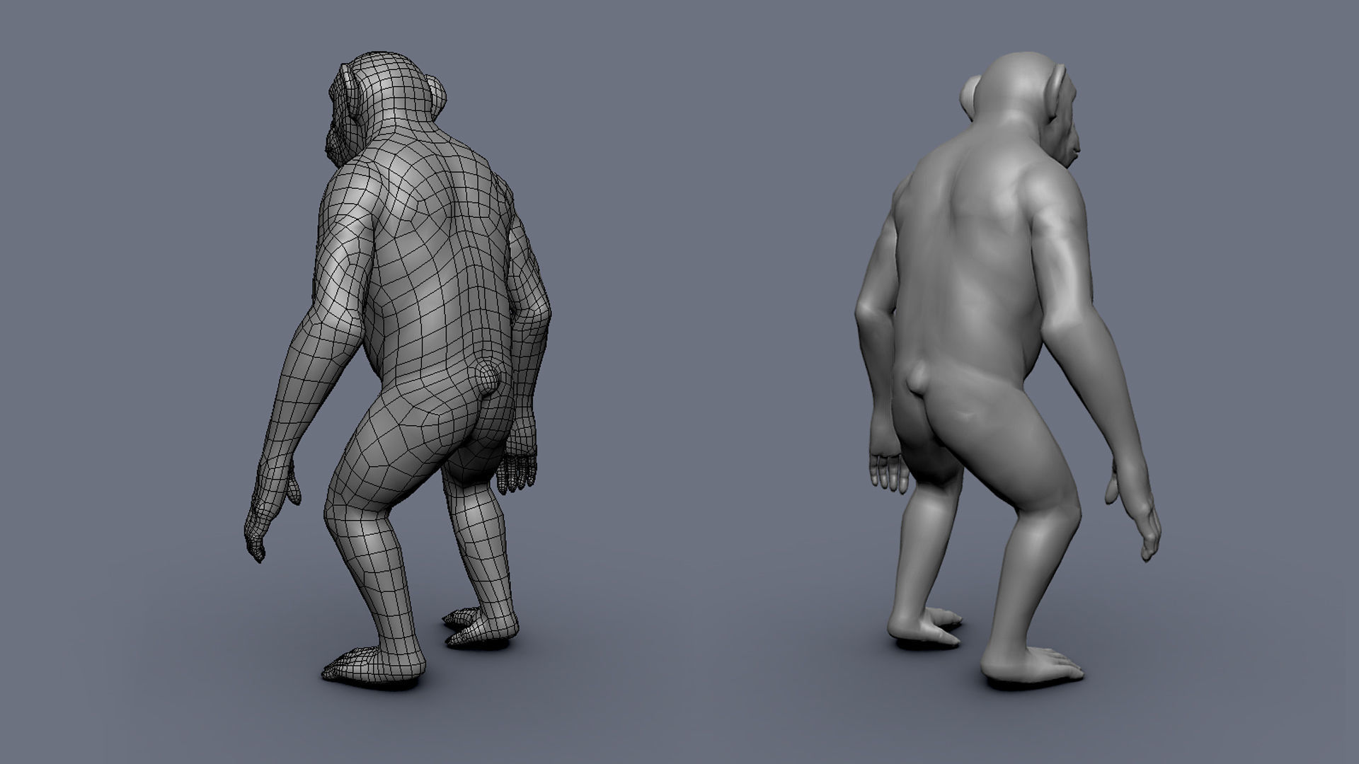 Chimp BaseMesh Low-poly 3D model_5
