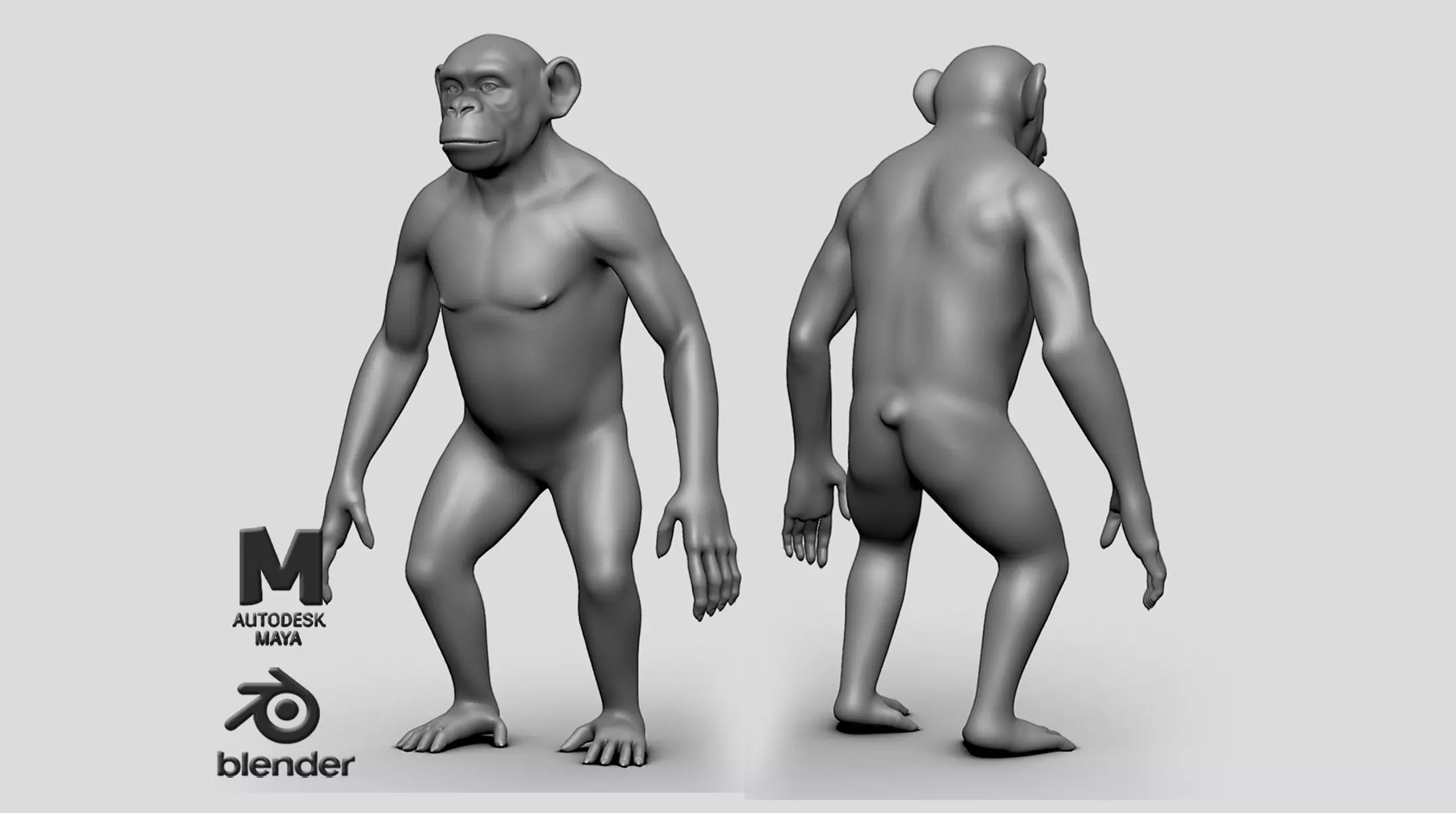 Chimp BaseMesh Low-poly 3D model_0