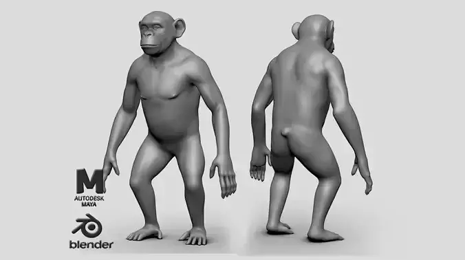 Chimp BaseMesh Low-poly 3D model