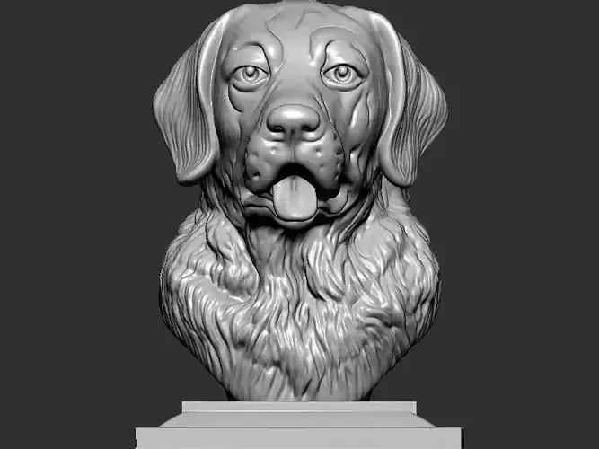 Labrador Dog Bust 3D print model