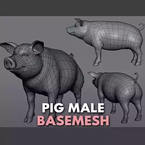 Pig BaseMesh Low-poly 3D model