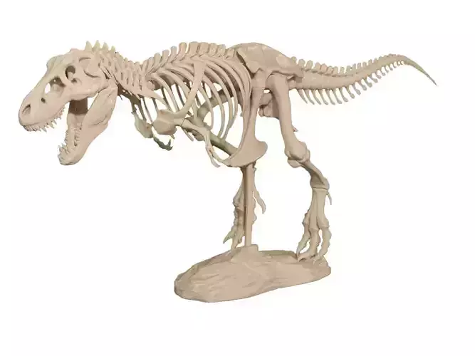 T Rex Skeleton for 3D Printer