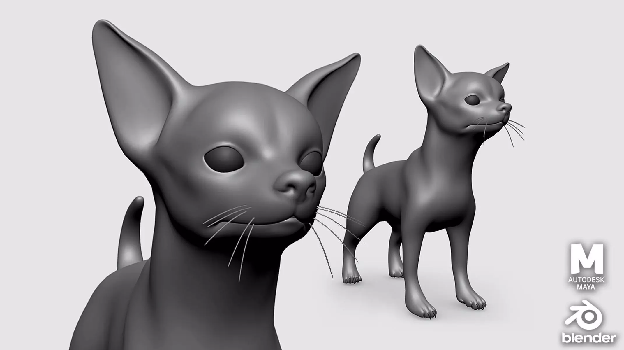 Chihuahua Dog II BaseMesh Low-poly 3D model_0