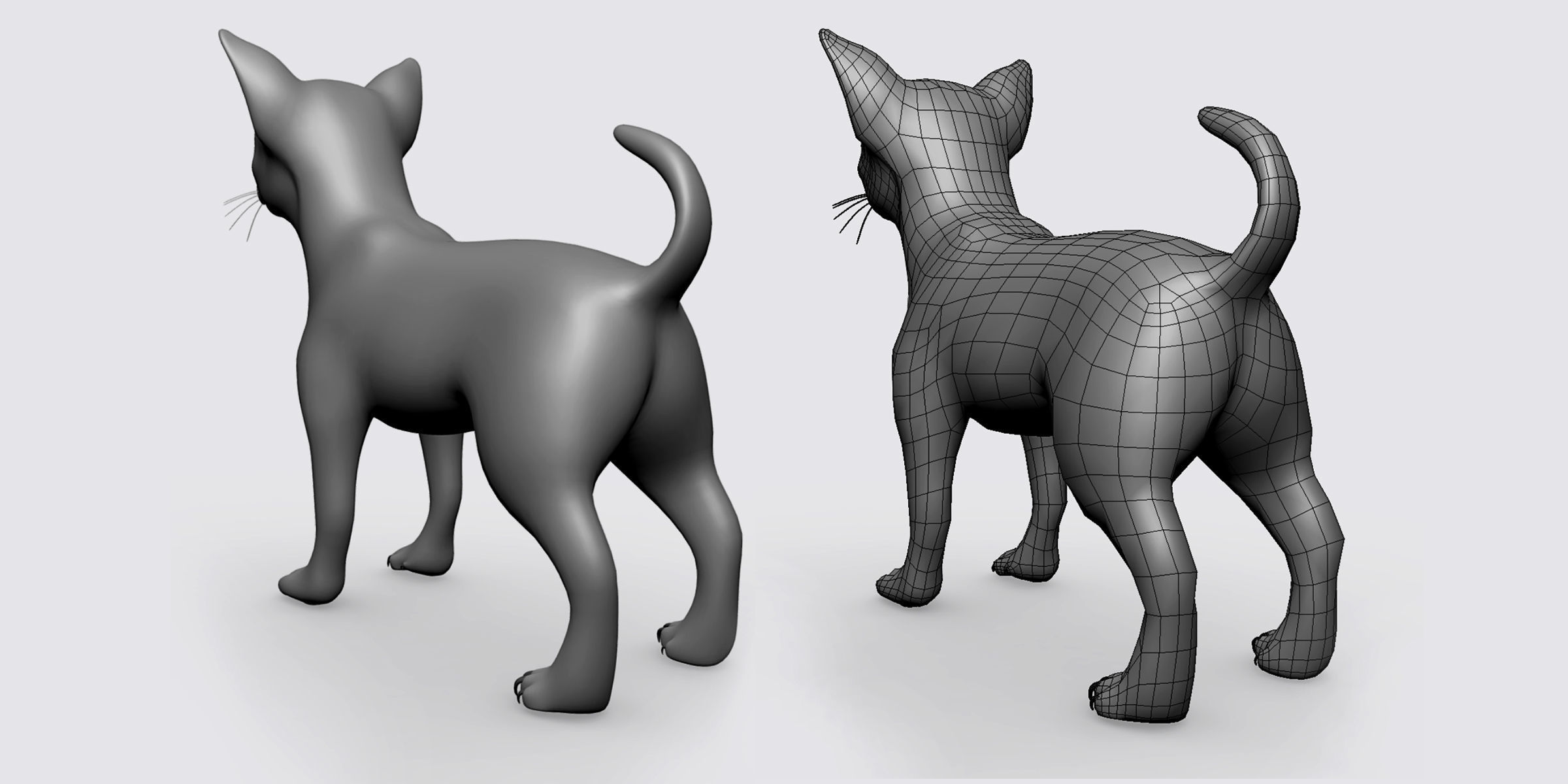 Chihuahua Dog II BaseMesh Low-poly 3D model_3