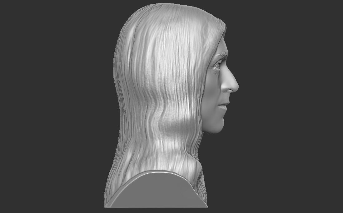 Celine Dion bust for 3D printing 3D print model_14