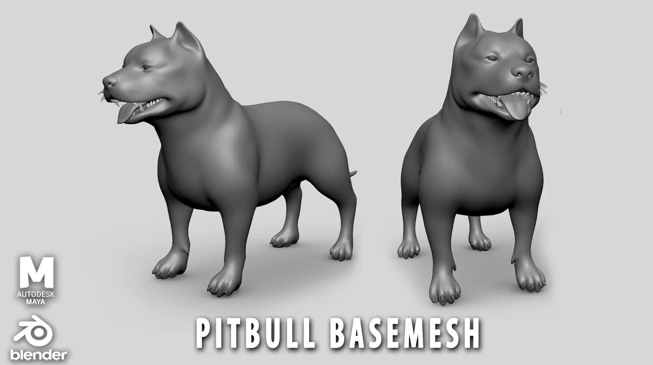 PitBull BaseMesh Low-poly 3D model_0