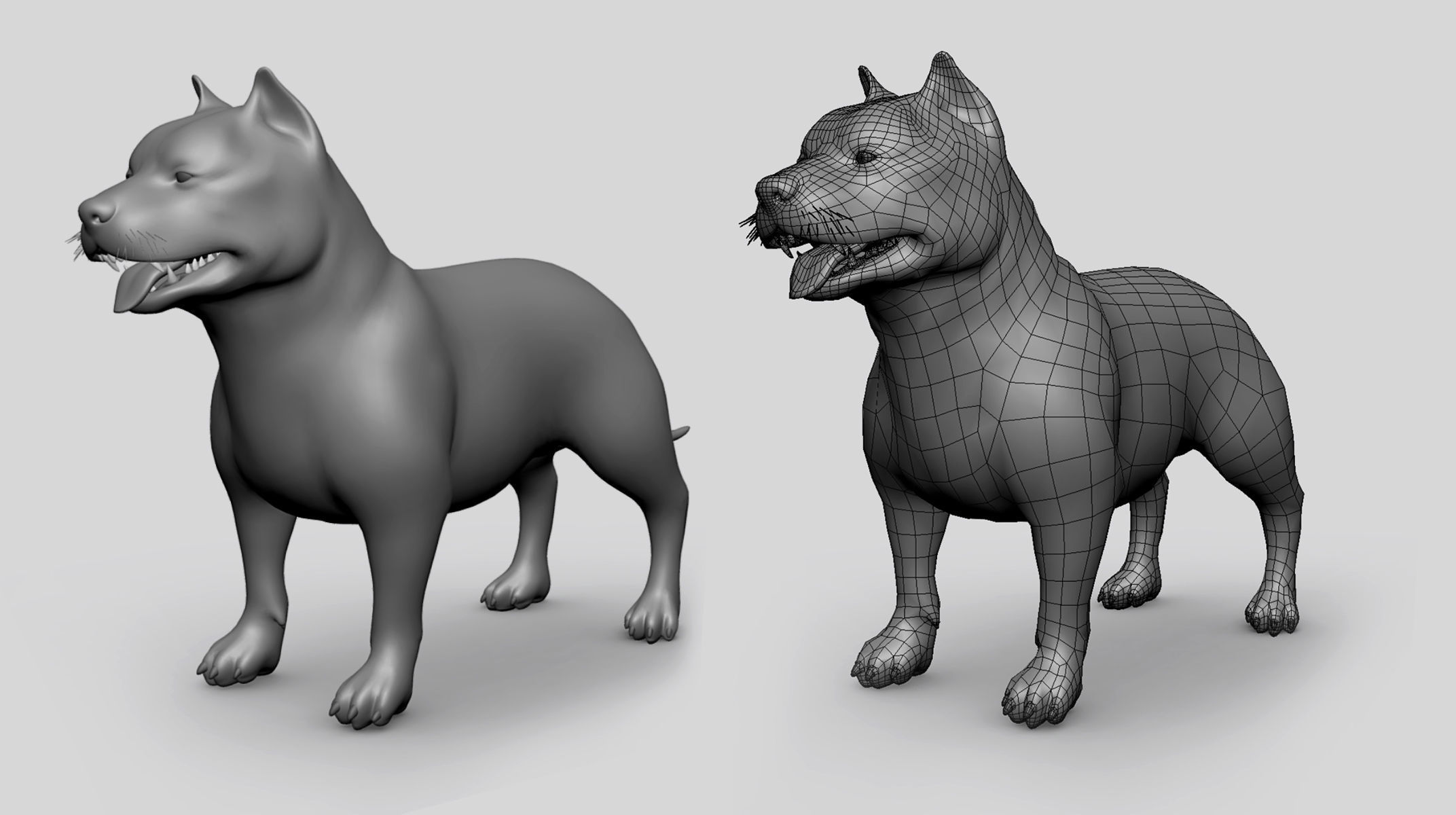 PitBull BaseMesh Low-poly 3D model_3