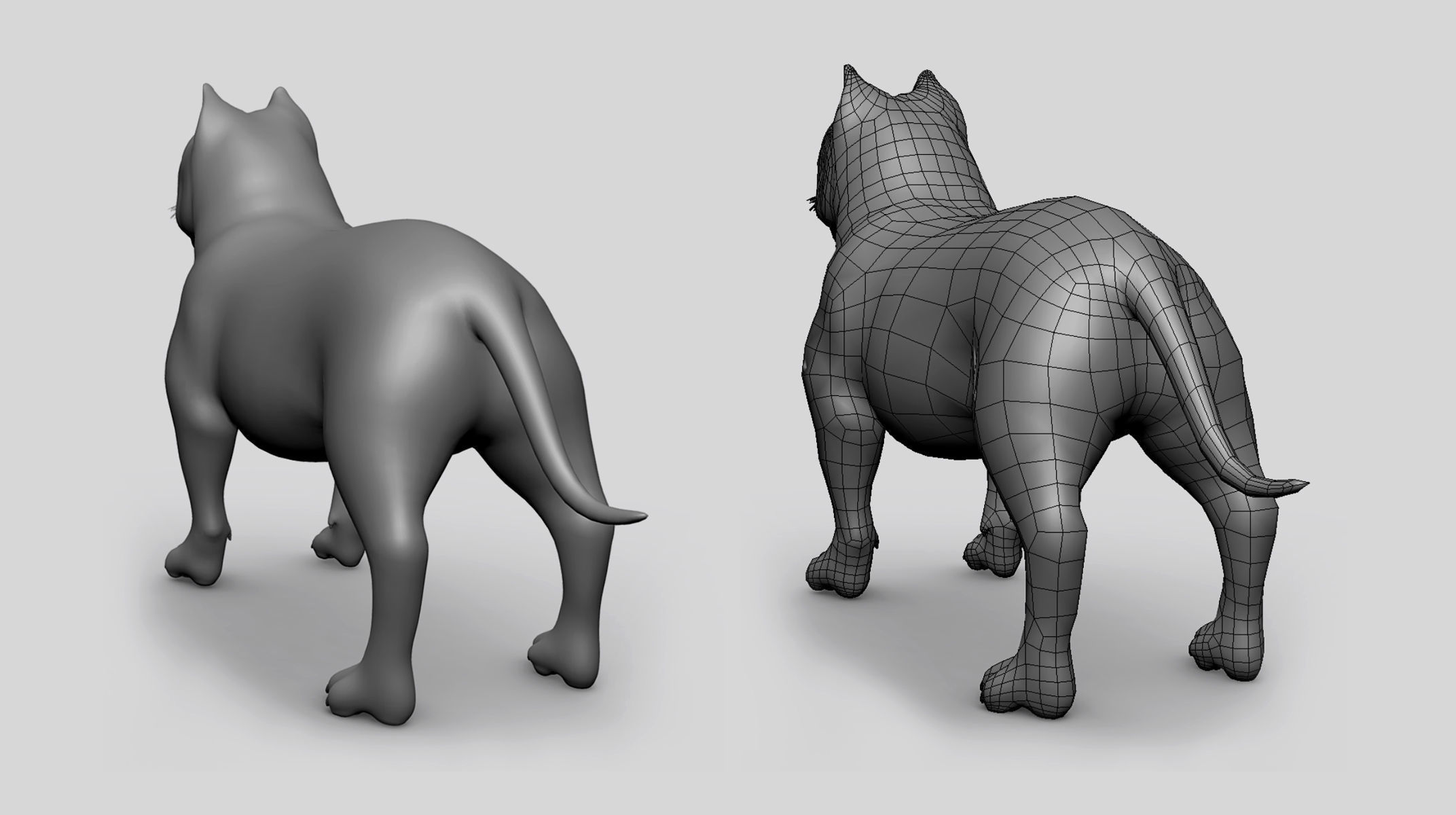 PitBull BaseMesh Low-poly 3D model_4