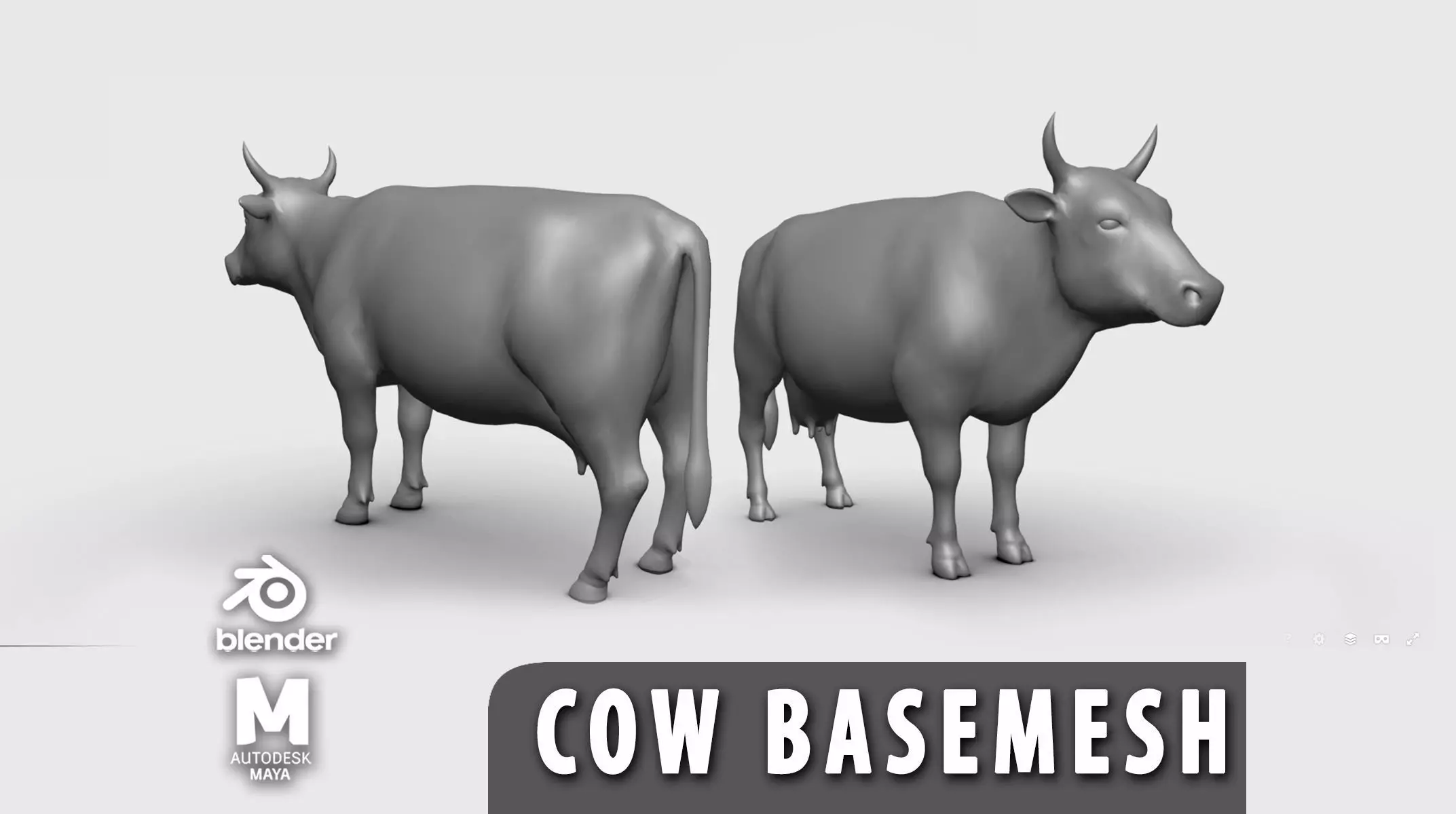 Cow BaseMesh Low-poly 3D model_0