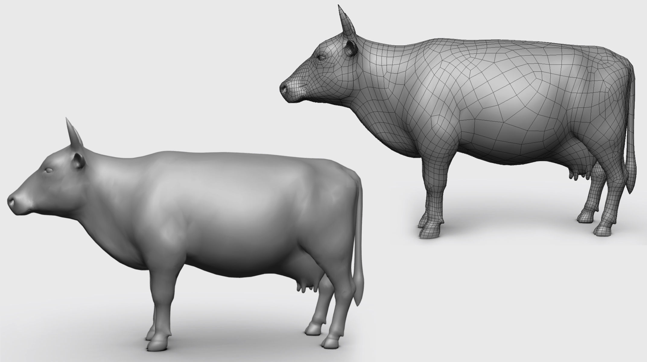 Cow BaseMesh Low-poly 3D model_2