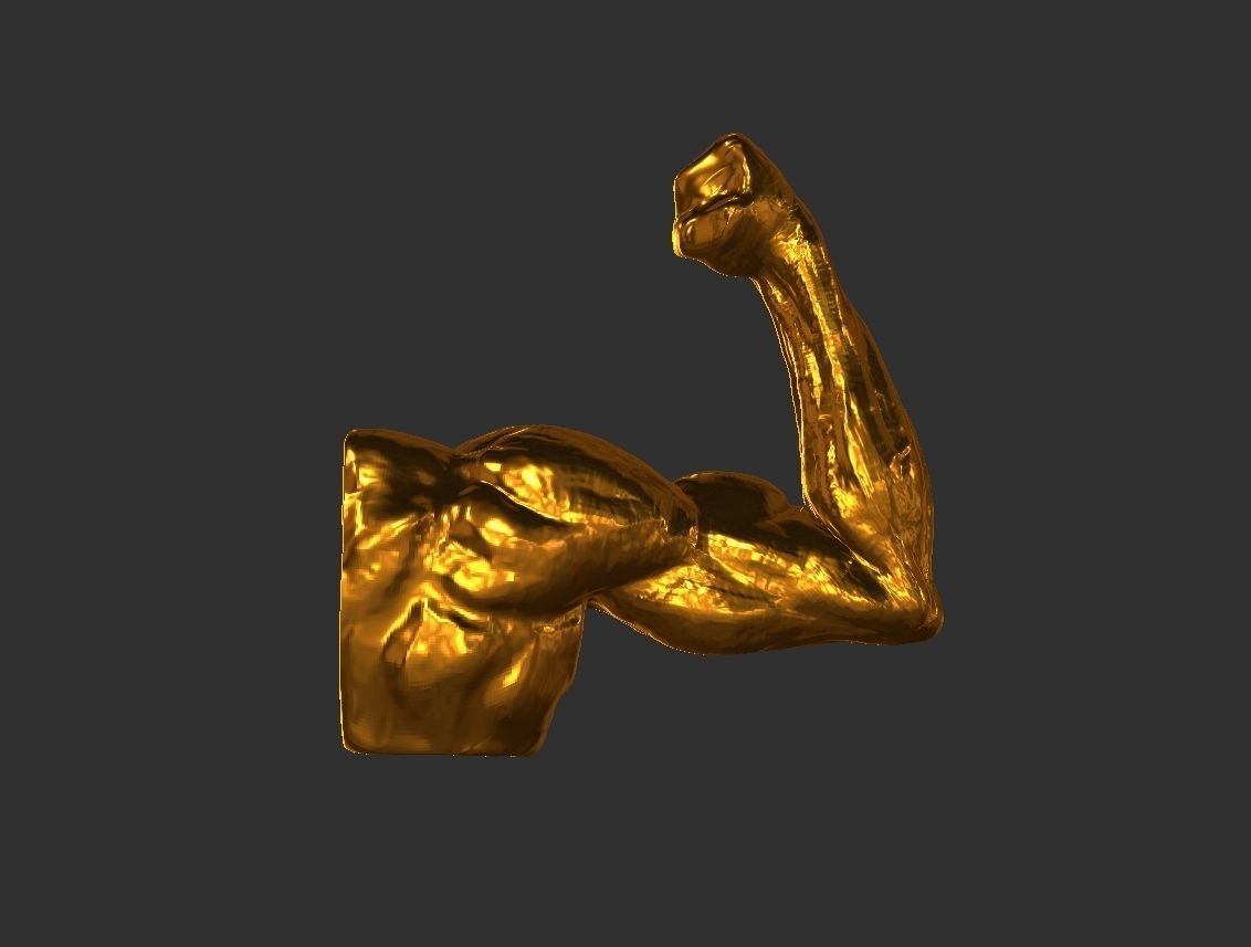 Hand Arm 3D print model_4