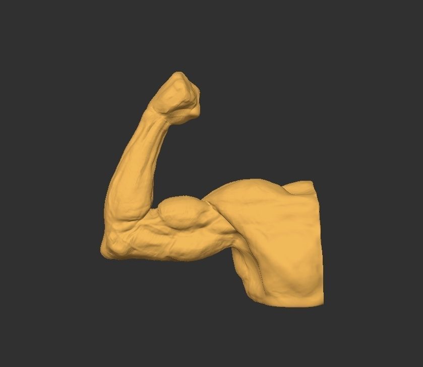 Hand Arm 3D print model_1